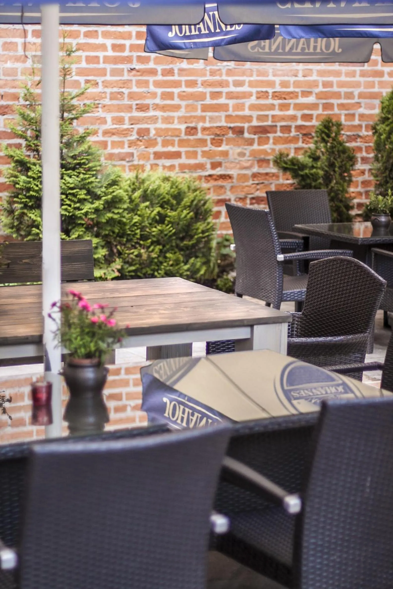 Garden in Dom Zachariasza Zappio