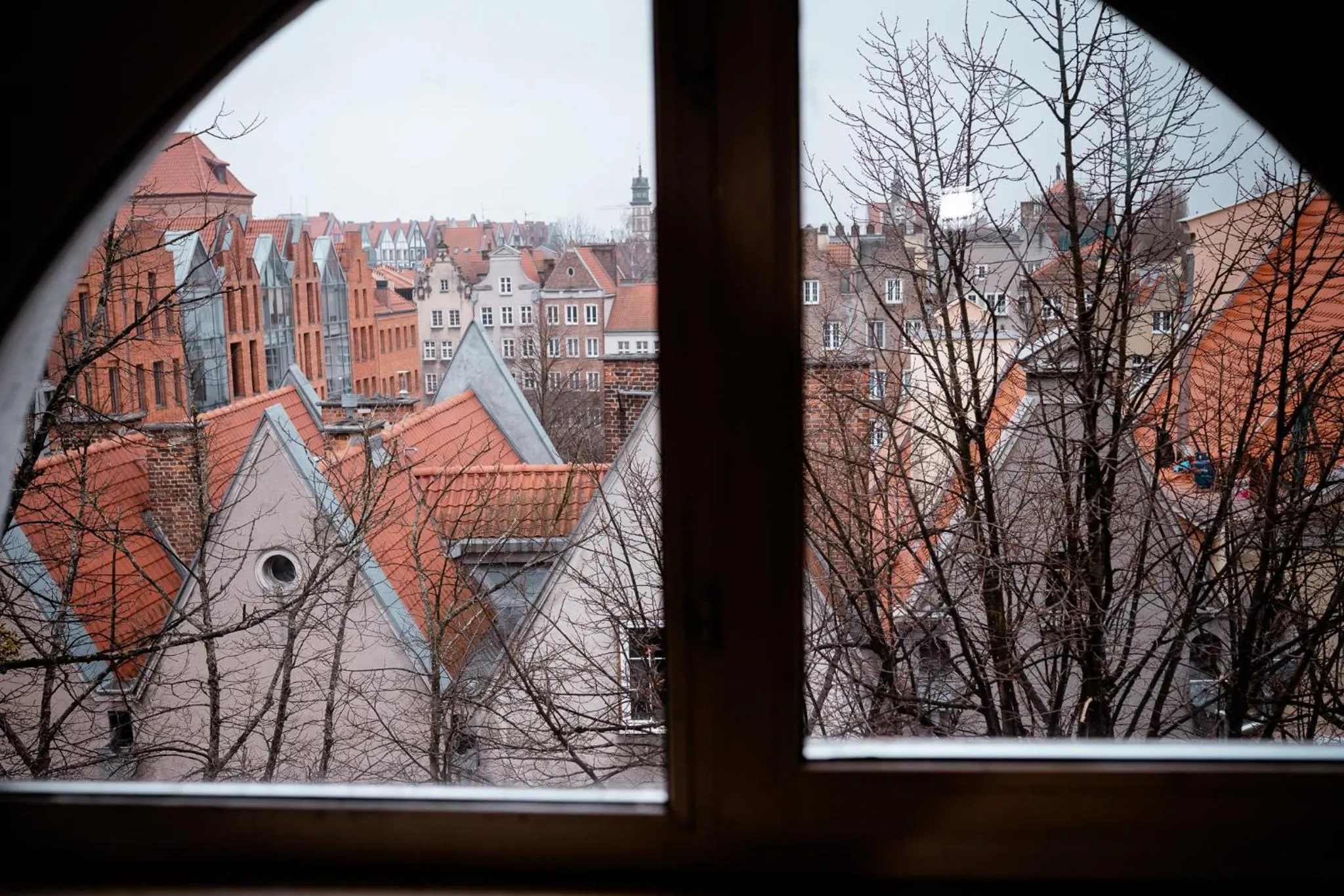 View (from property/room) in Dom Zachariasza Zappio