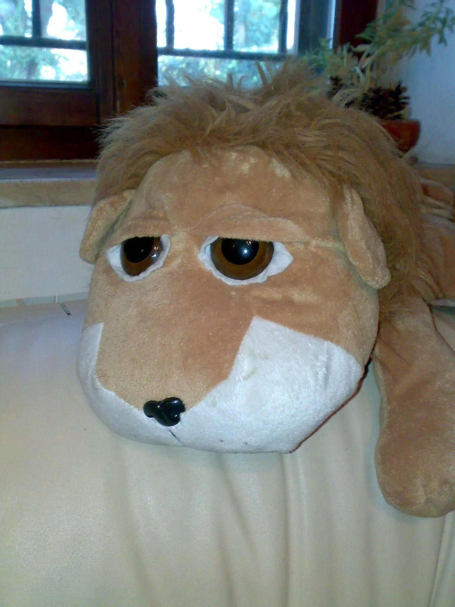 Staff in Casa Vacanza la Rondine