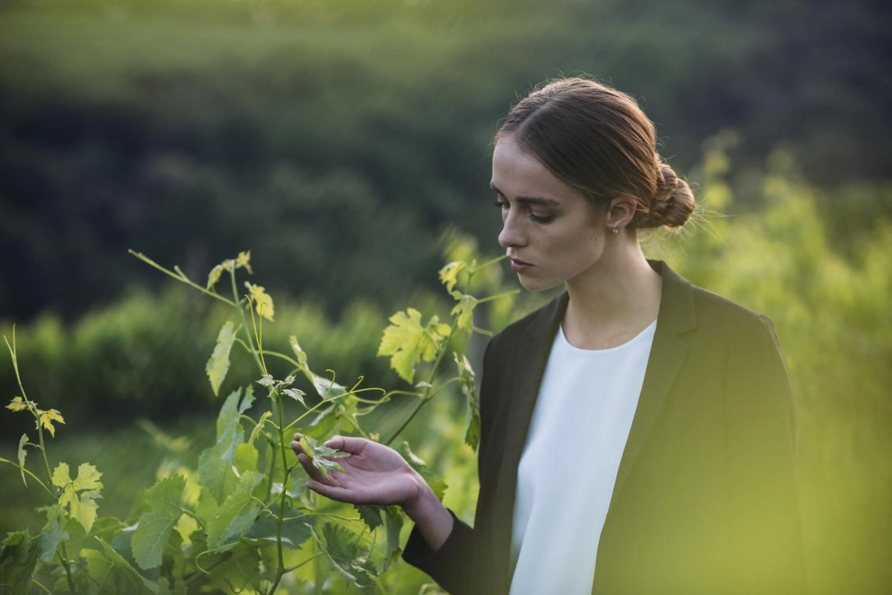 Activities in C-Hotel & Spa