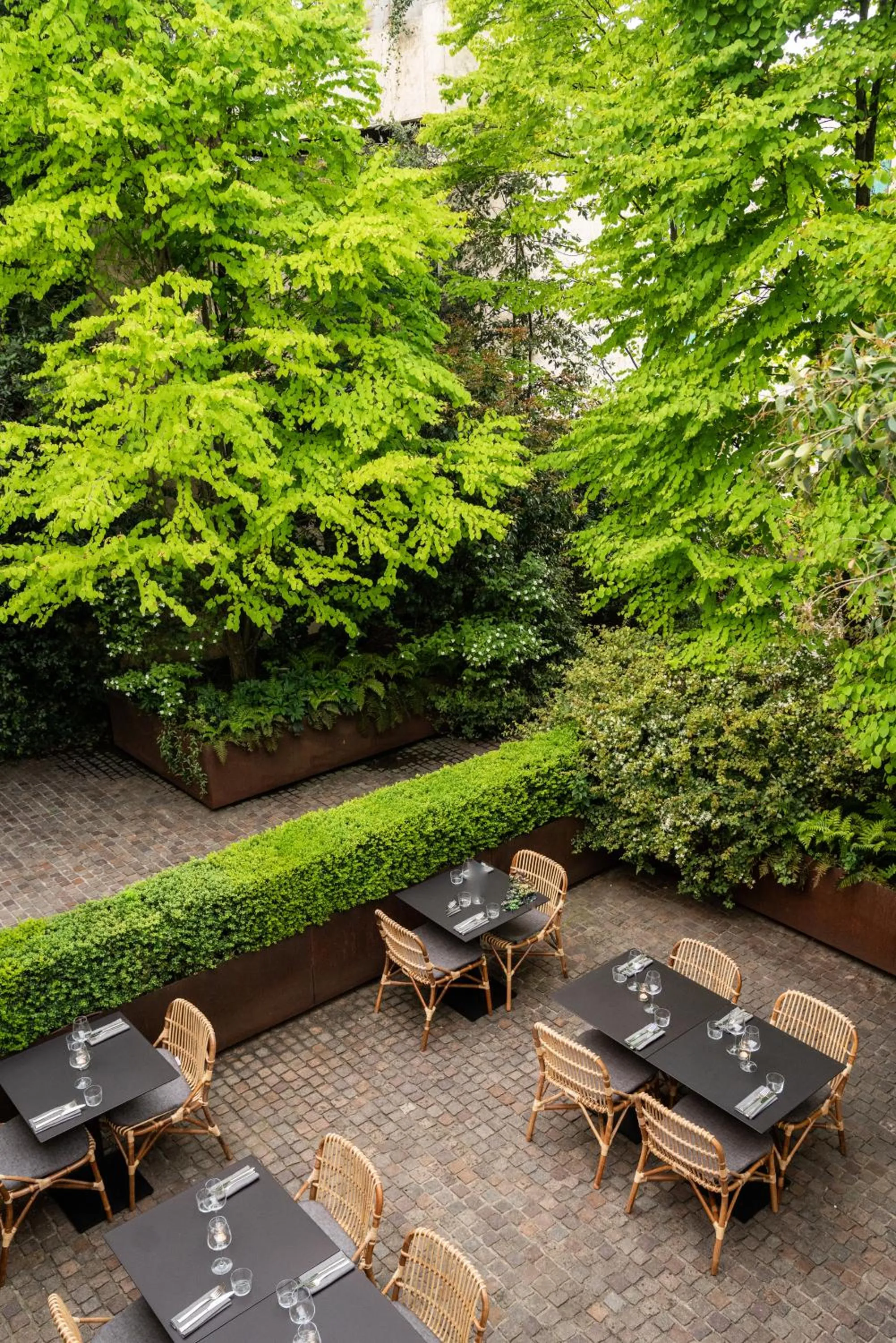 Restaurant/places to eat in C-Hotel & Spa