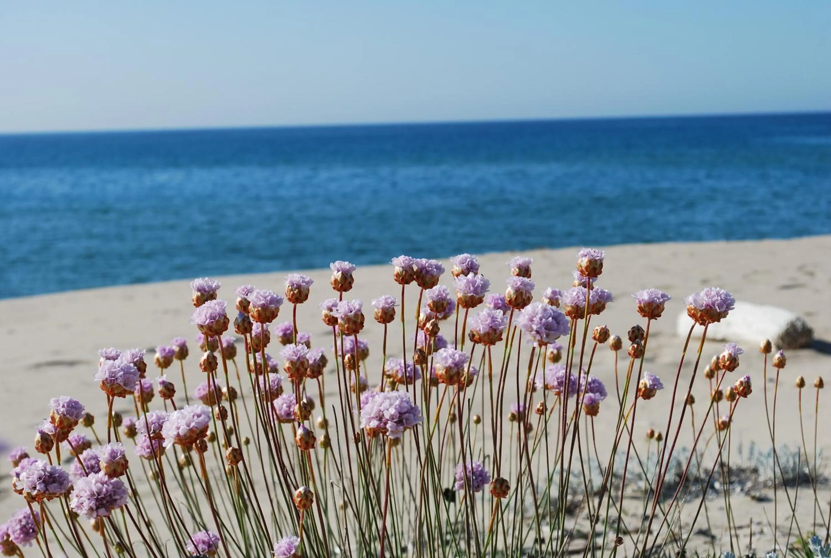 Day in Abbaidda Hotel