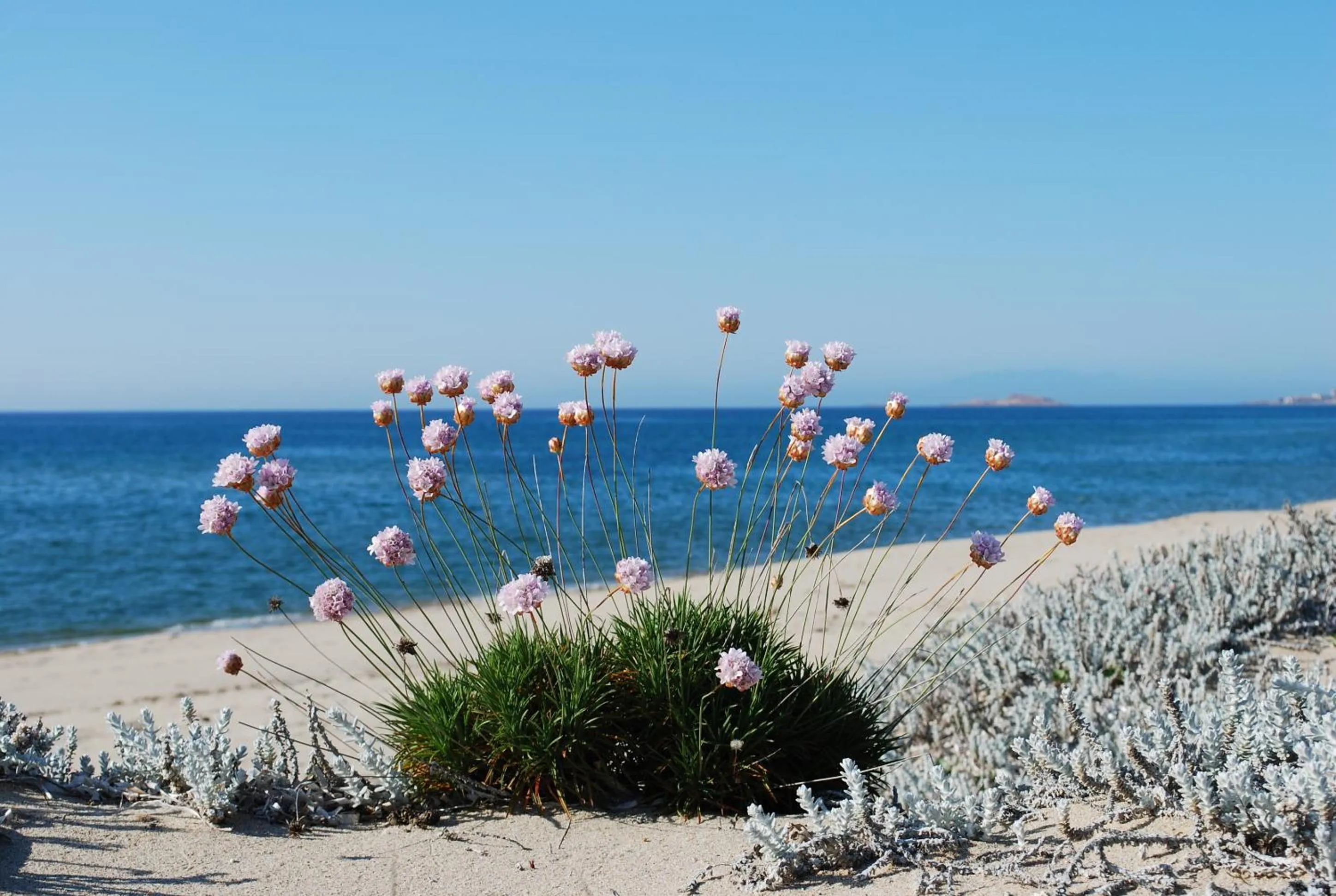 Day in Abbaidda Hotel