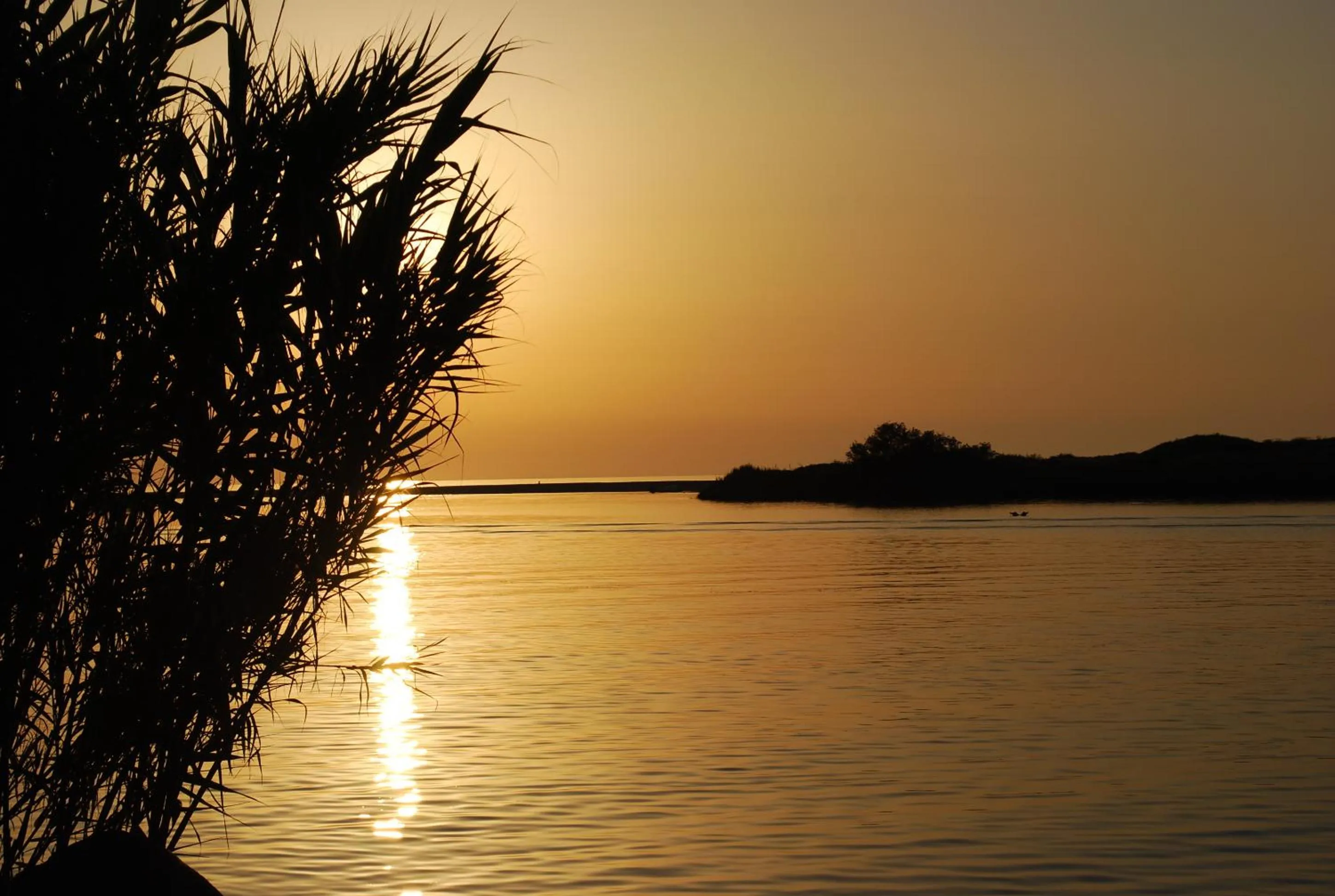 Natural landscape in Abbaidda Hotel
