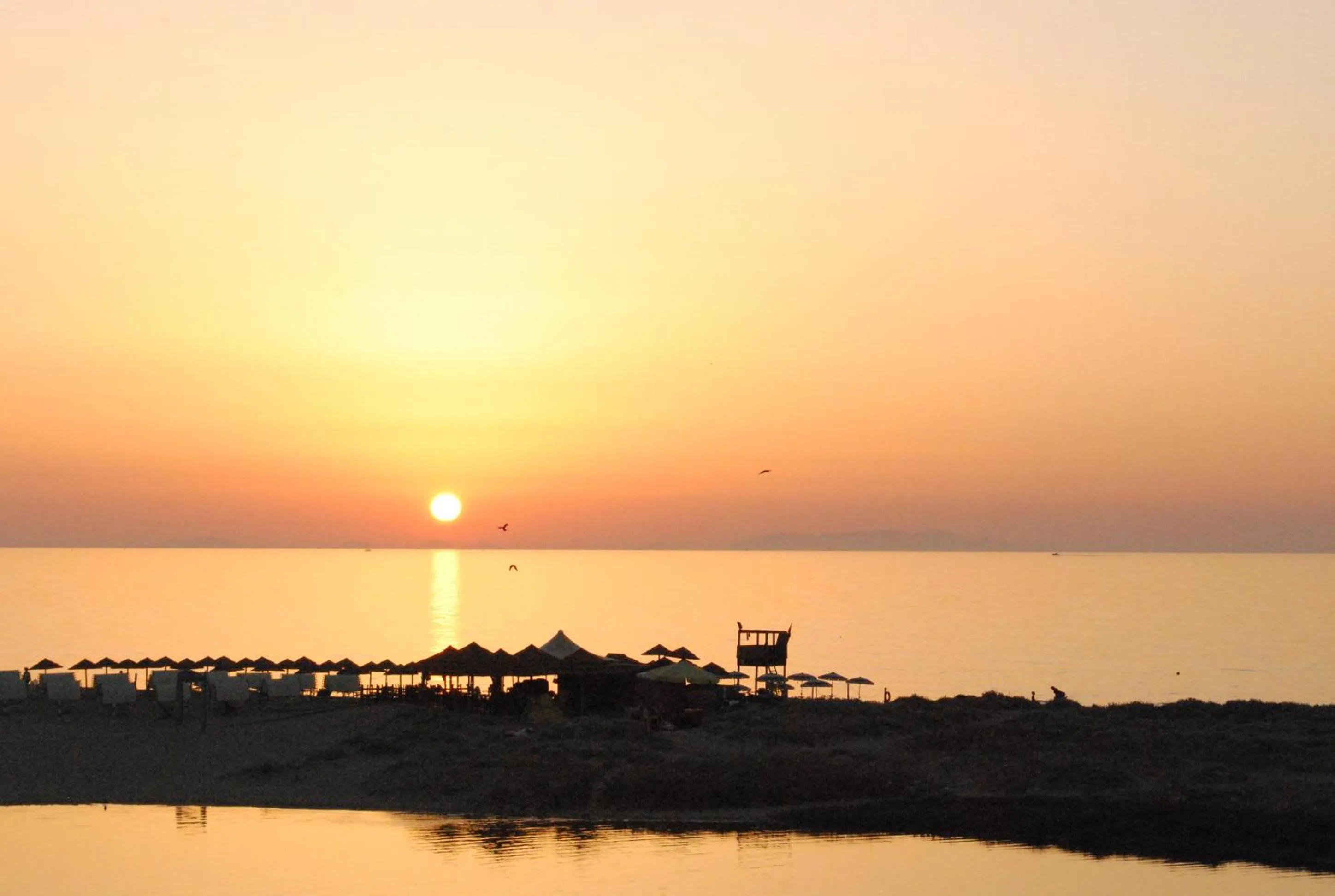 Natural landscape in Abbaidda Hotel