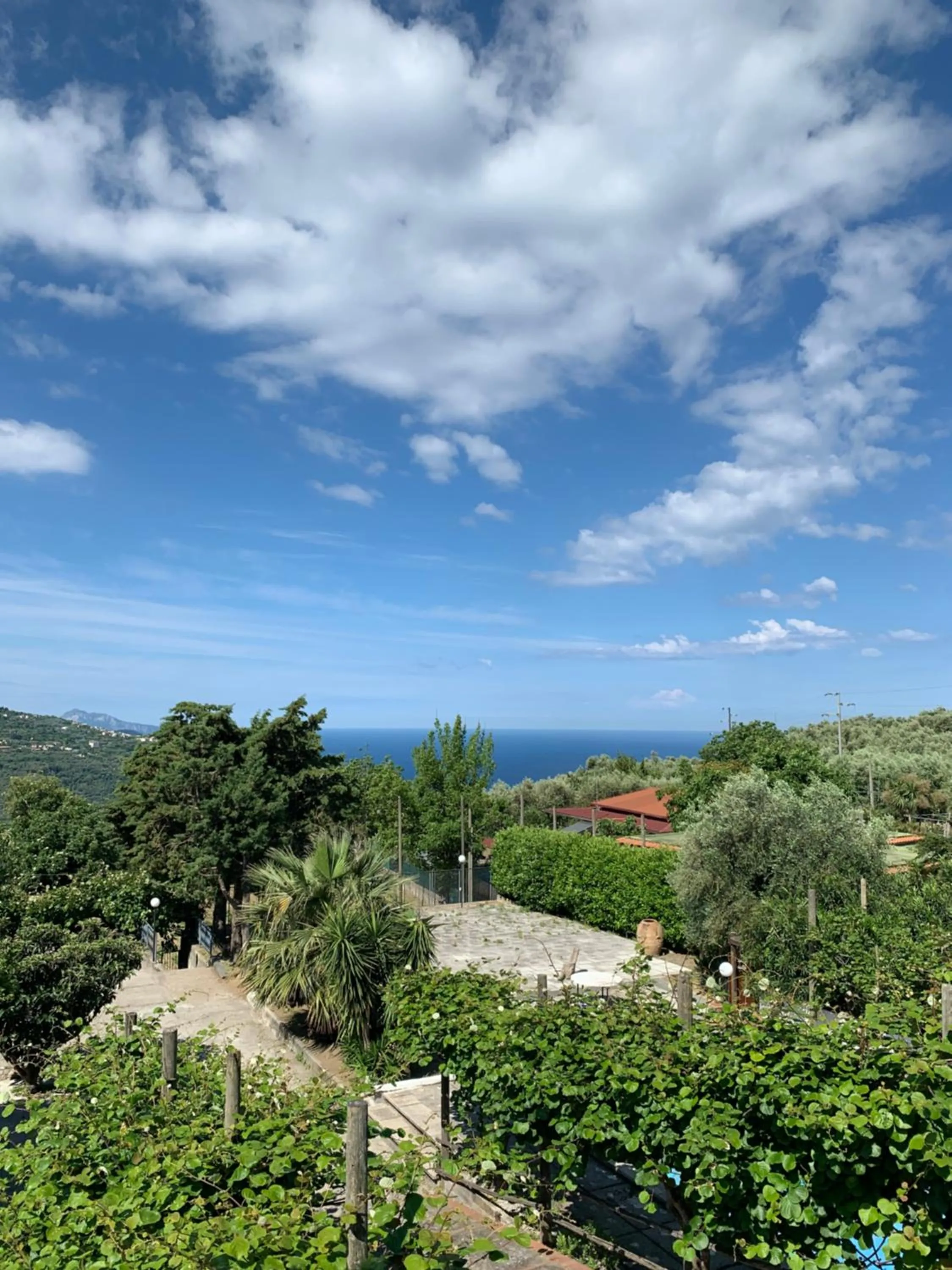 Garden in La Casa Del Sole