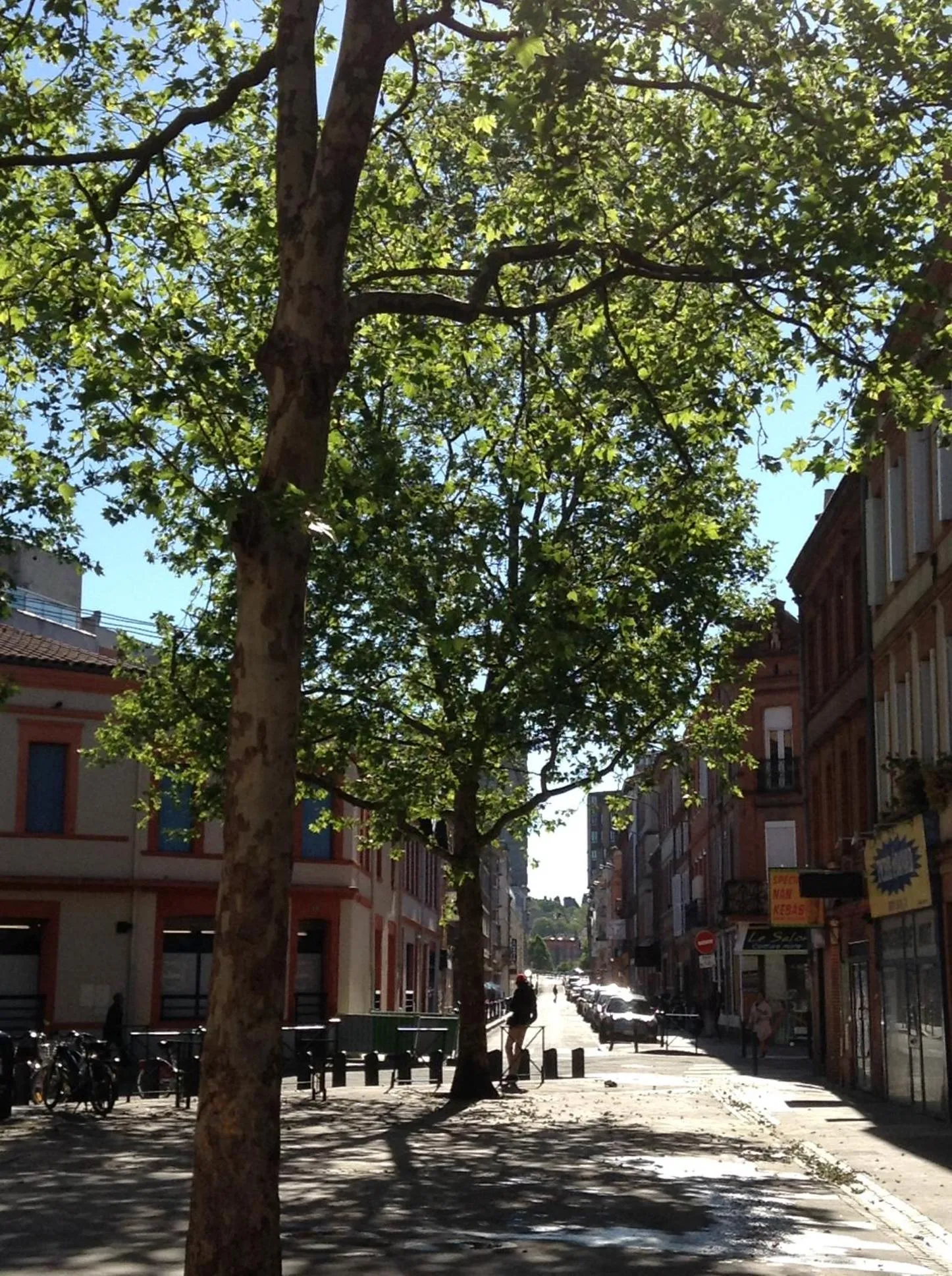 Nearby landmark in Résidence le Pastel François Verdier
