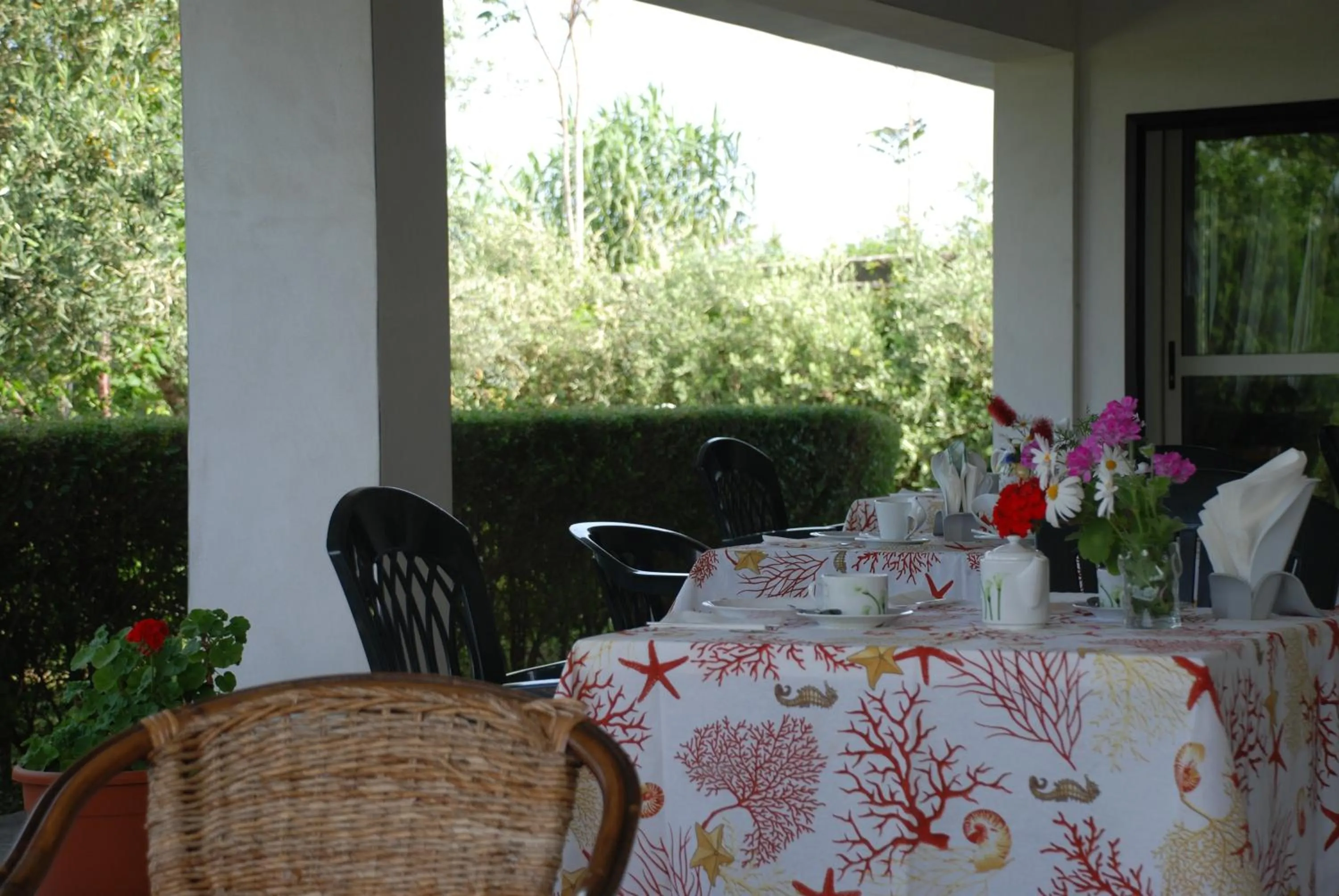 Area and facilities in Villa Lidia
