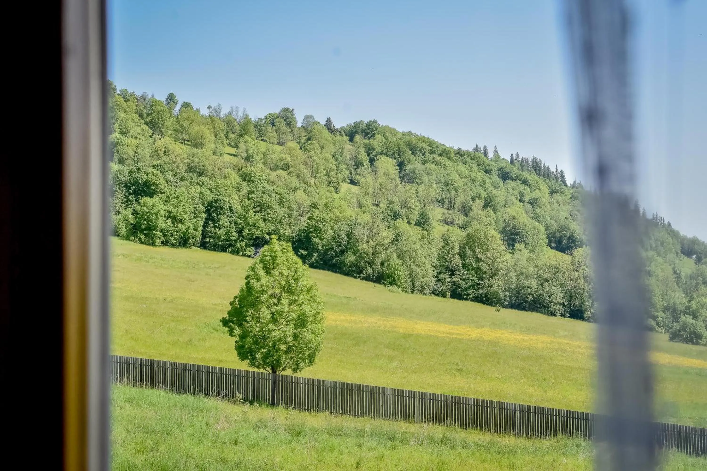 Spring in Willa u Perełki