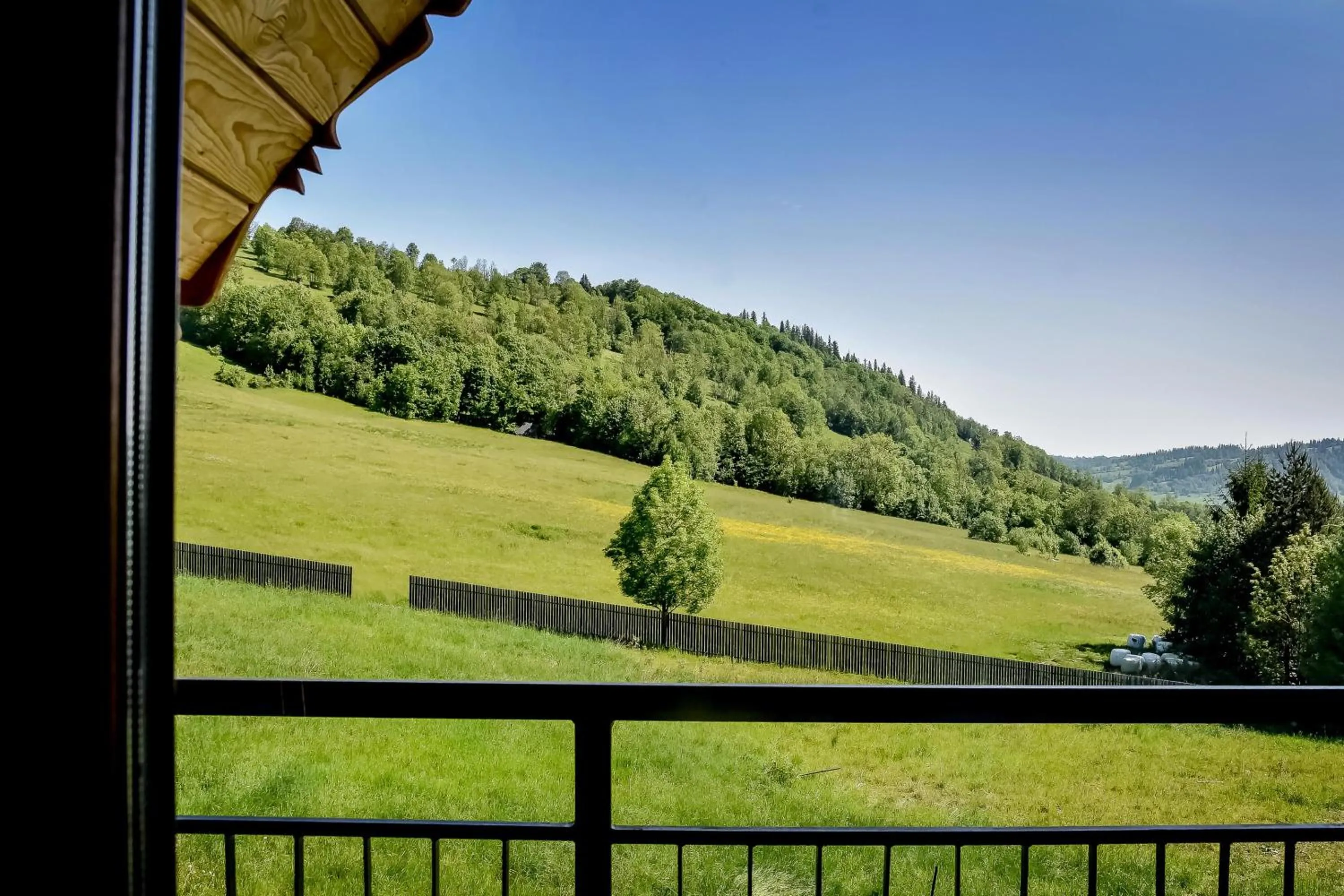 Spring in Willa u Perełki