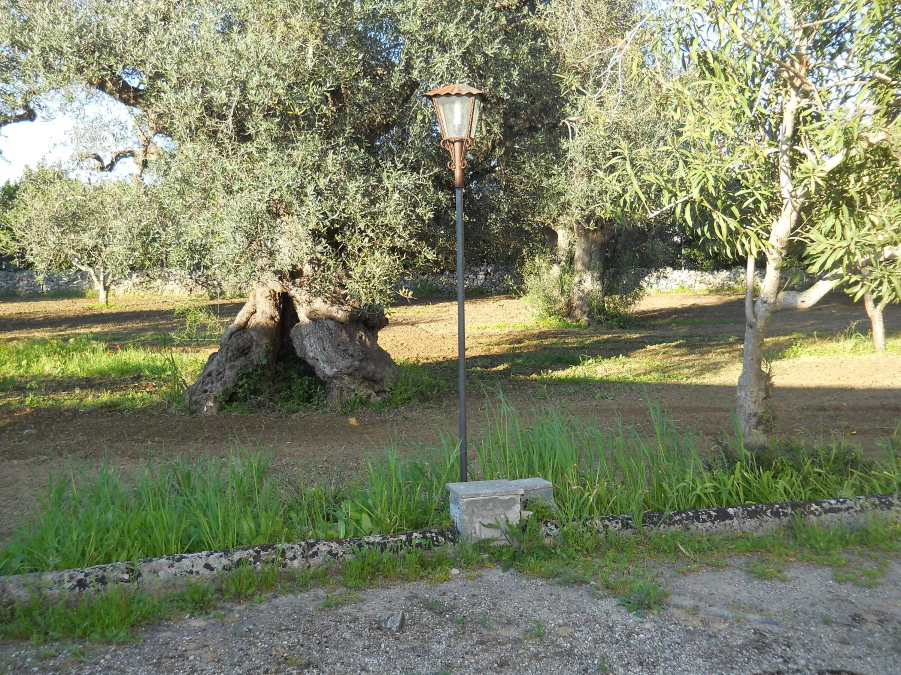 Garden in Il Giardino casa vacanze