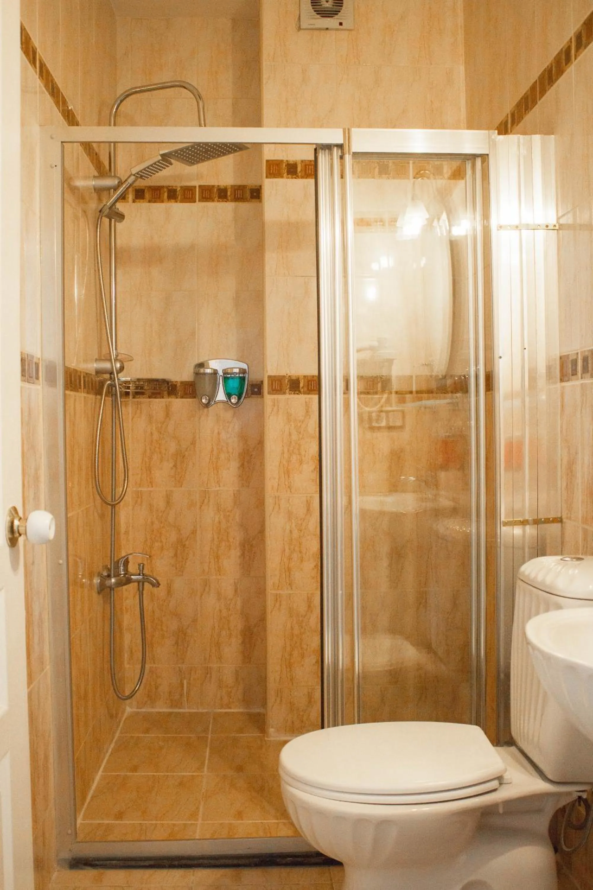 Standard Double Room in Hotel Tulip House