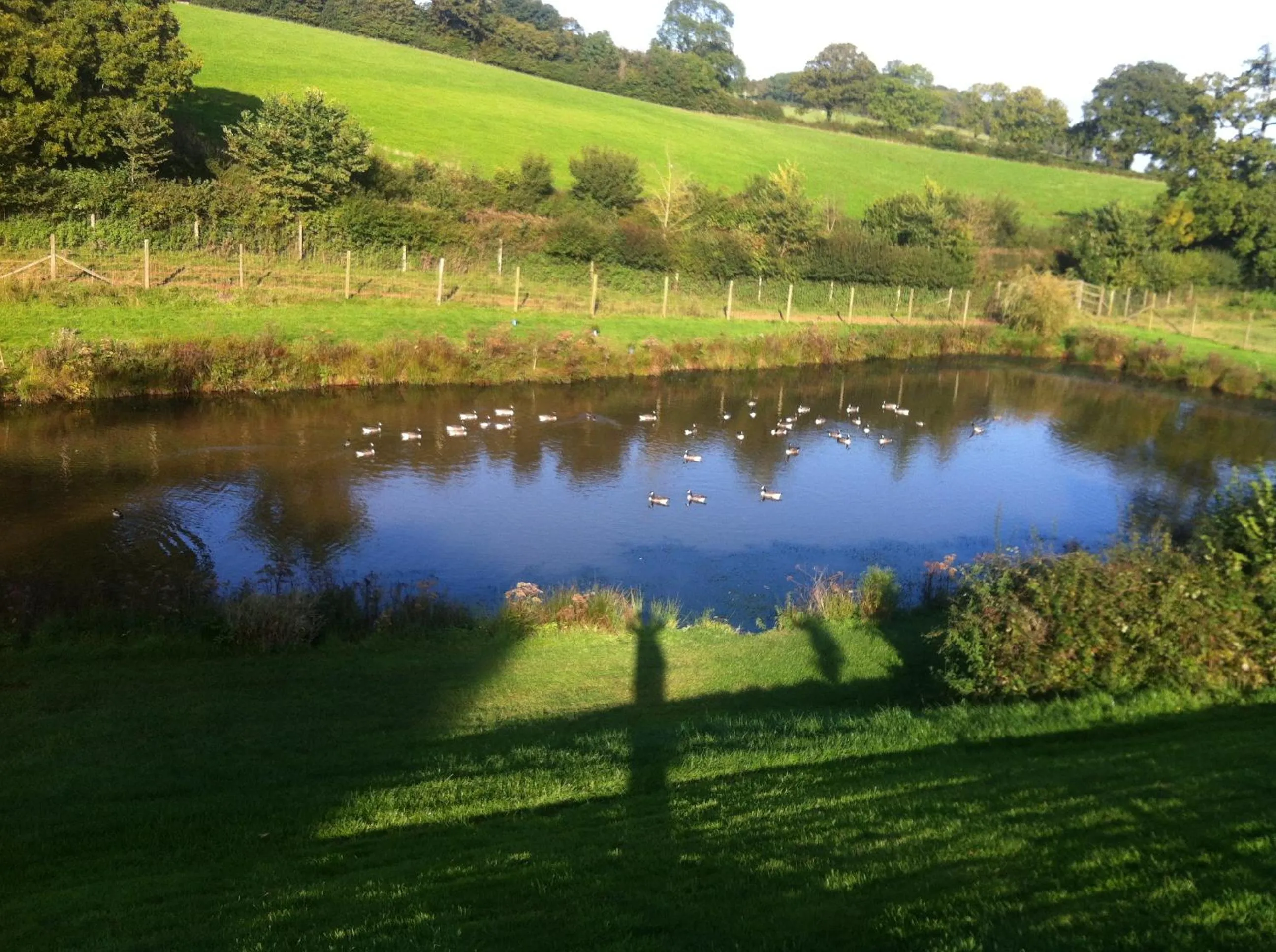 Garden view in East Dunster Deer Farm B&B
