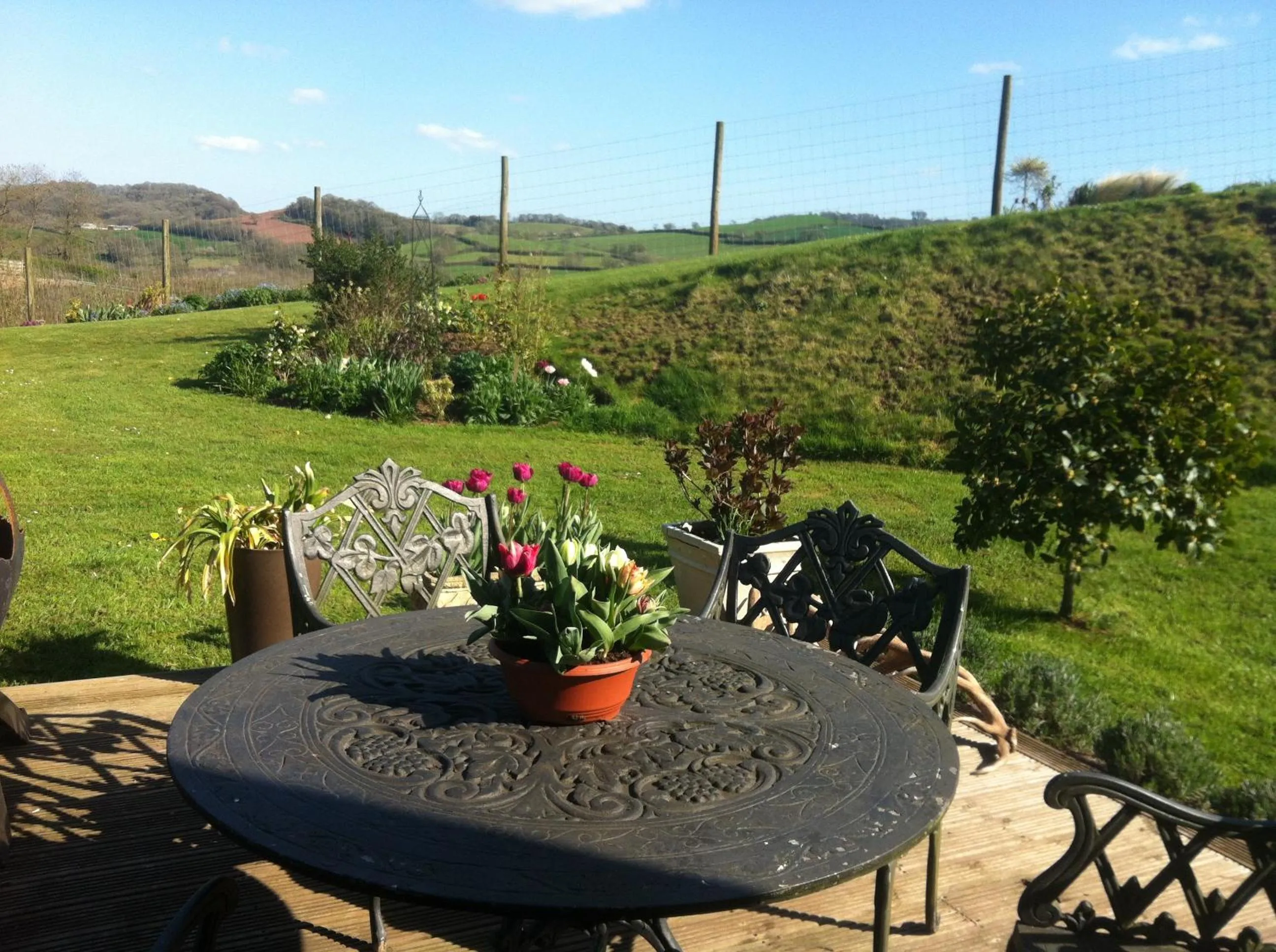 Garden view in East Dunster Deer Farm B&B