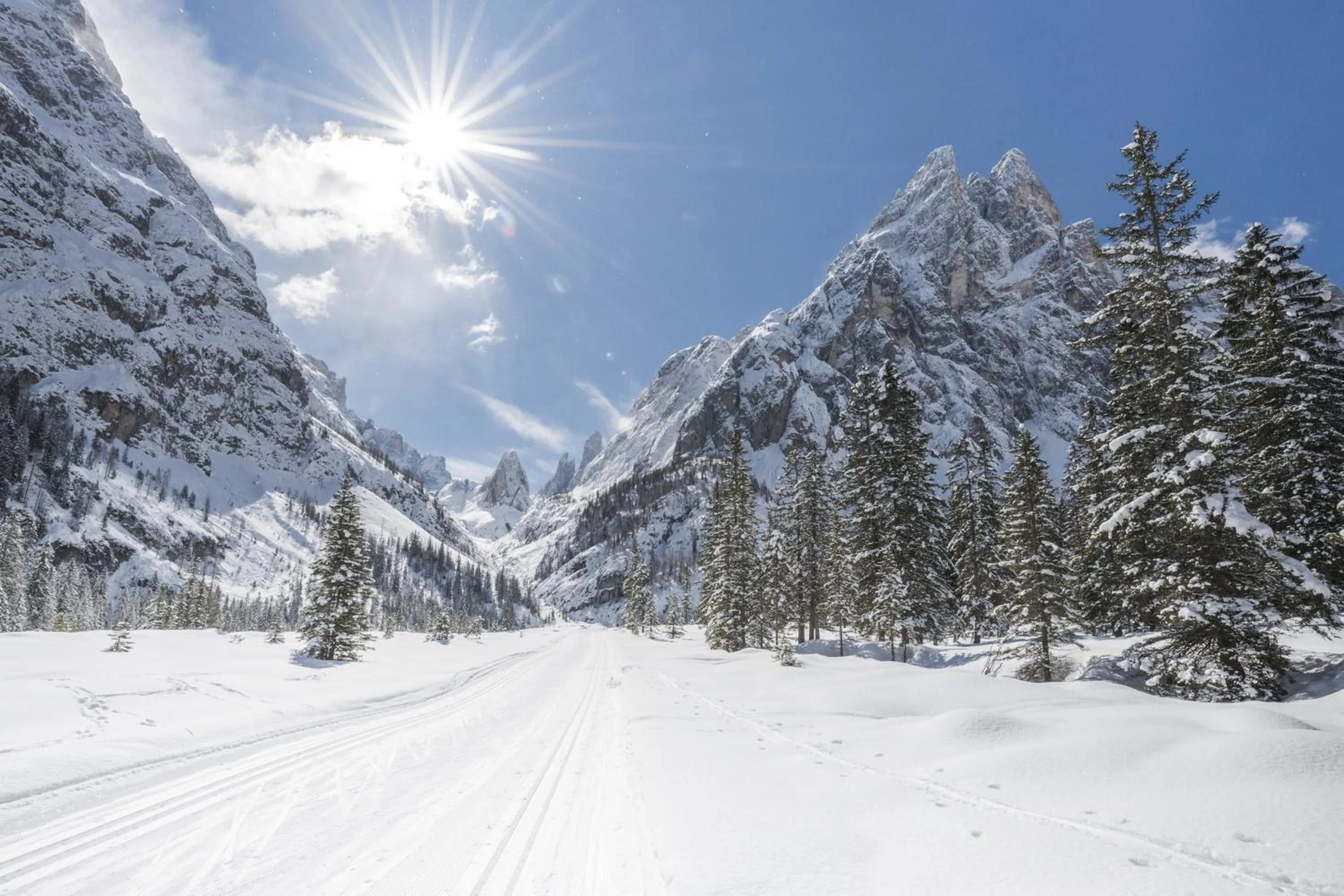 Natural landscape in Boutique & Gourmet Hotel Orso Grigio - Grauer Bär