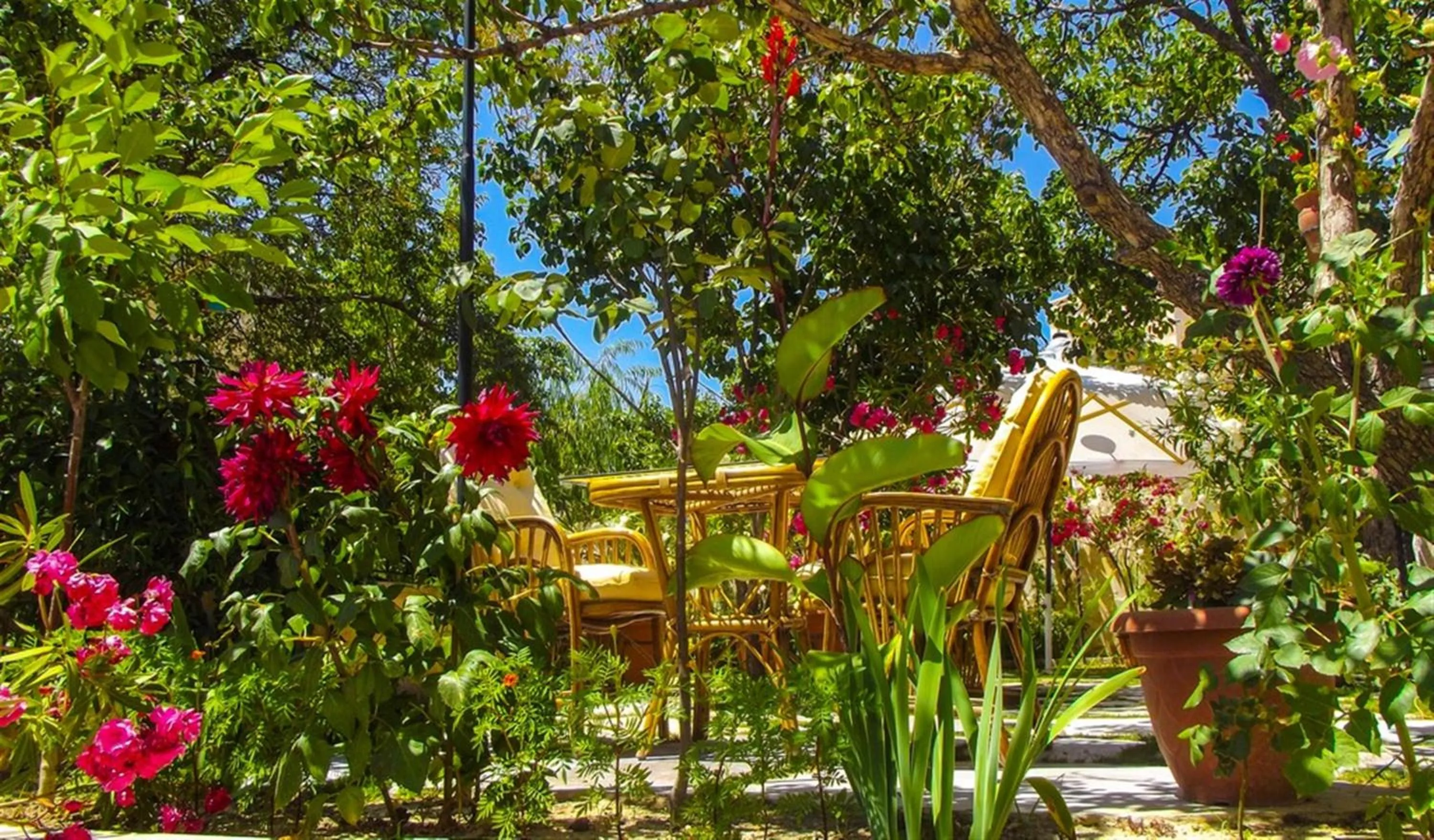 Garden in Elysee Cave House
