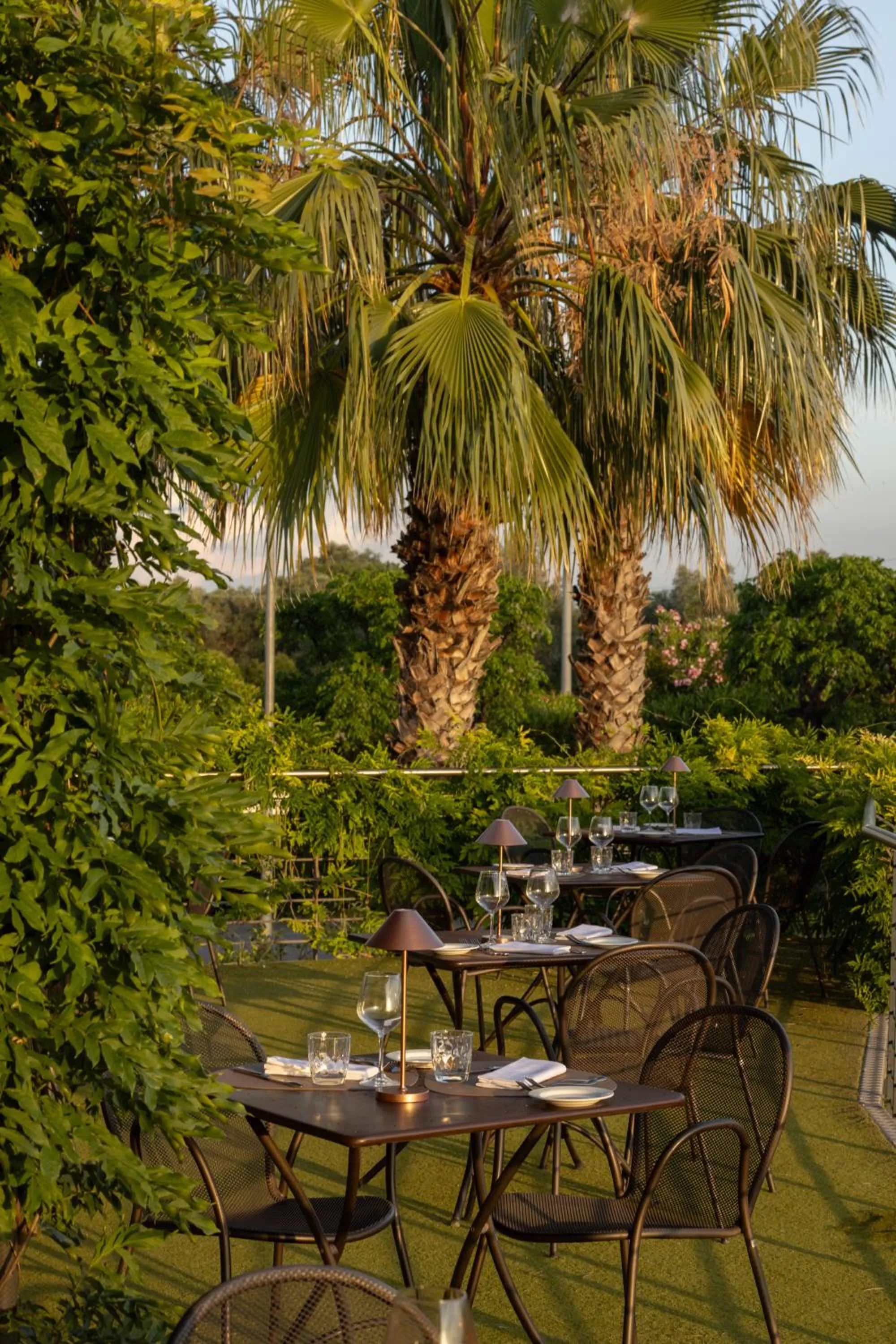 Balcony/Terrace in Hotel Majesty Bari