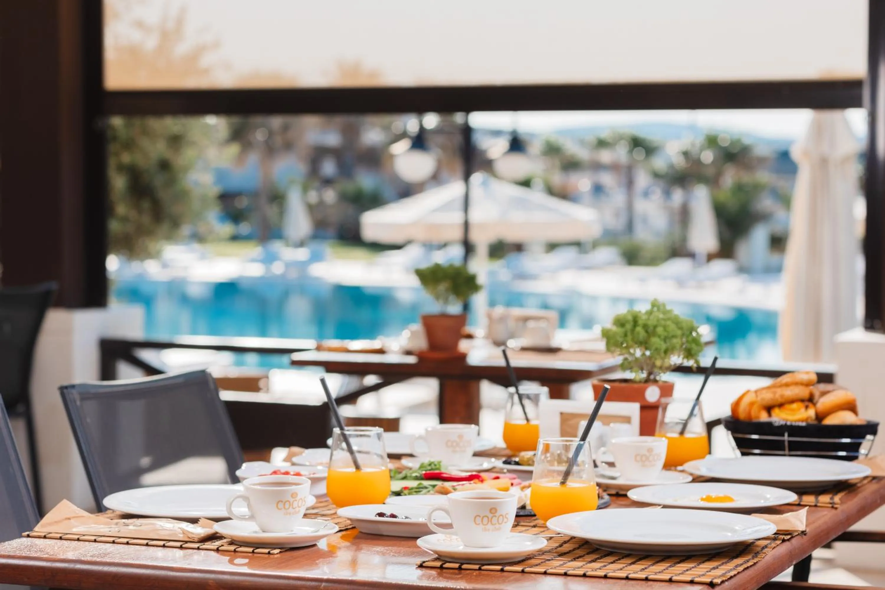 Buffet breakfast in Cocos The Club Solto