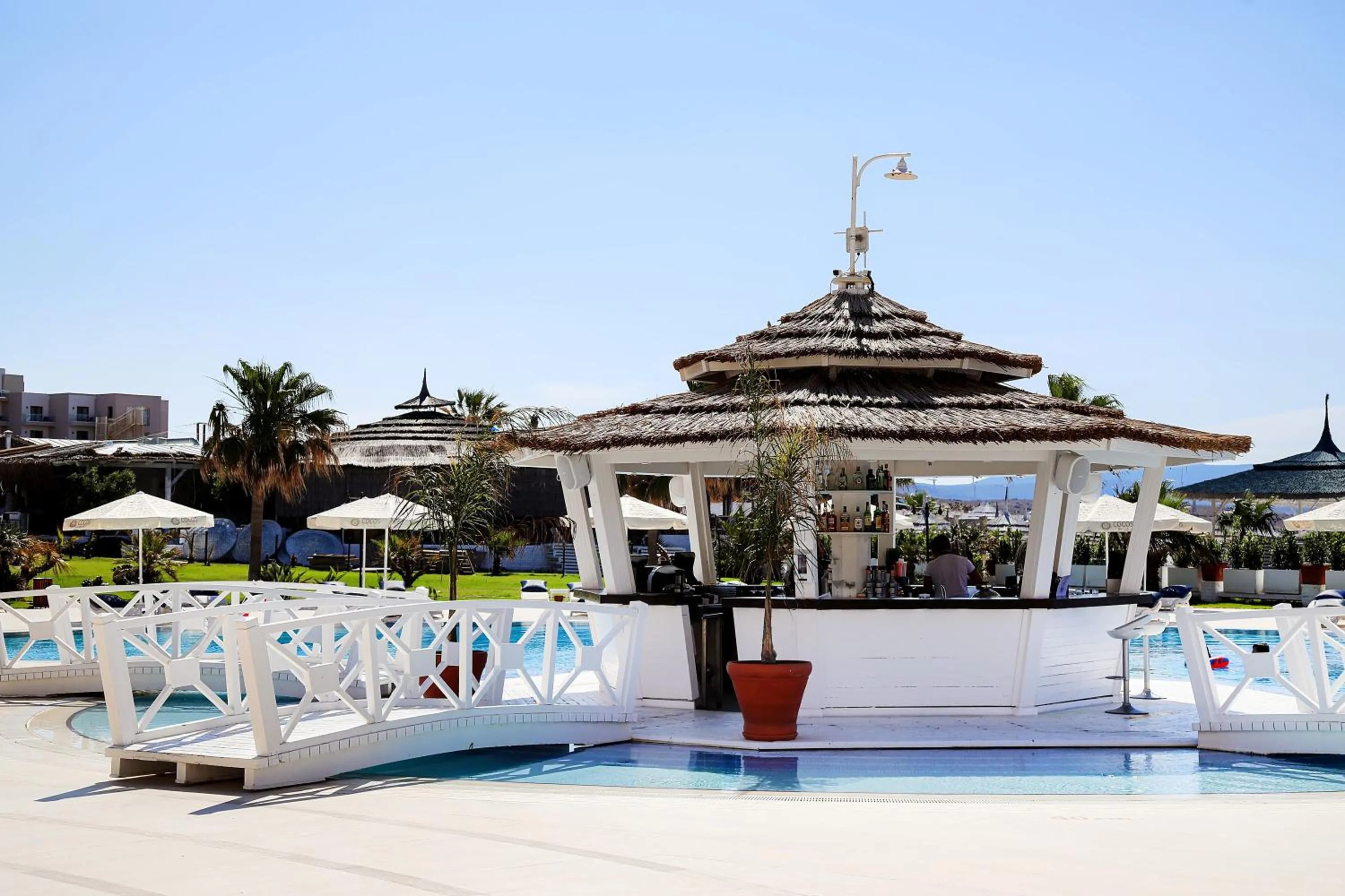 Restaurant/places to eat in Cocos The Club Solto