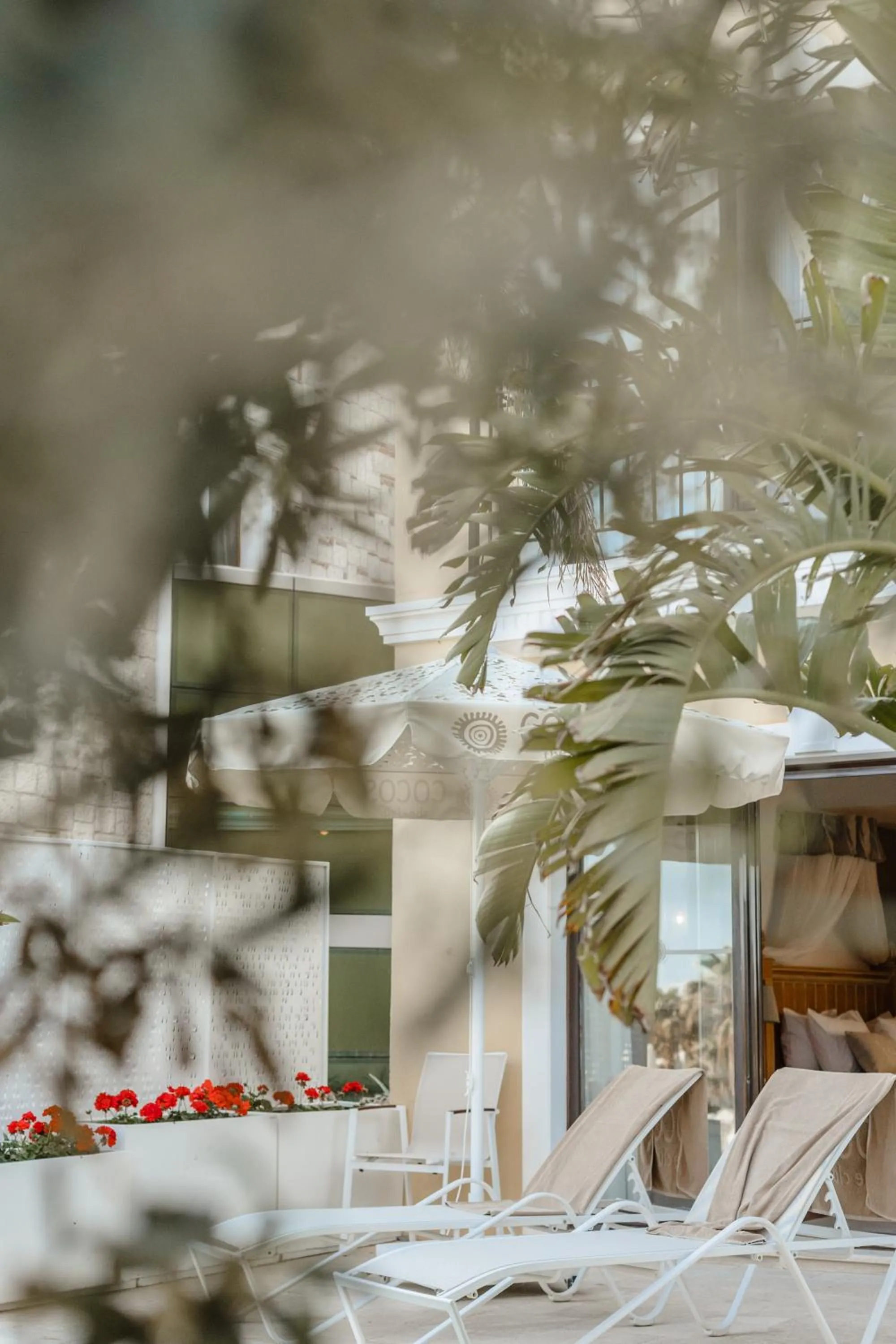 Balcony/Terrace in Cocos The Club Solto