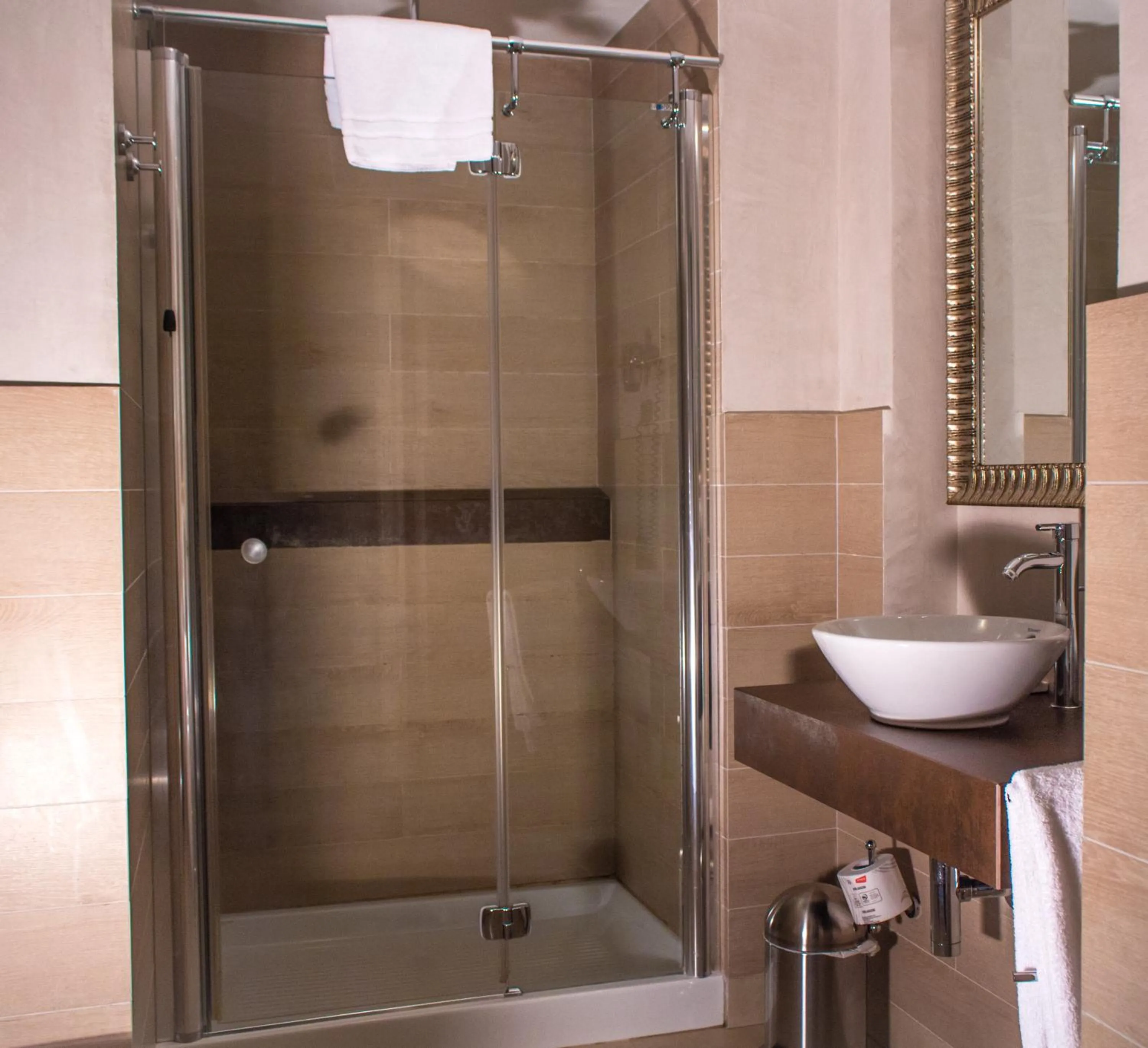 Shower in Hotel Patavium