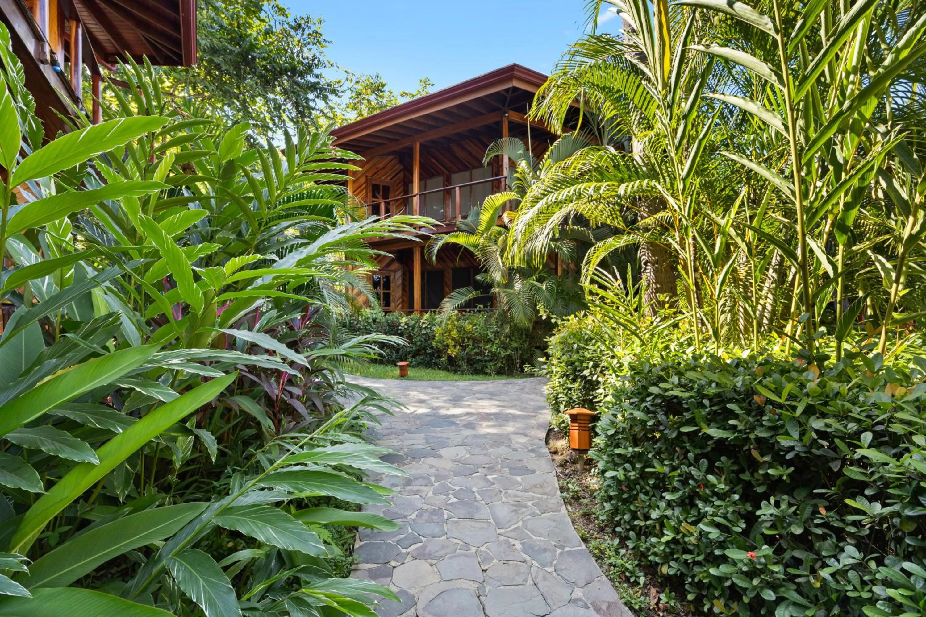 Natural landscape in Tambor Tropical Beach Resort- Adults Only