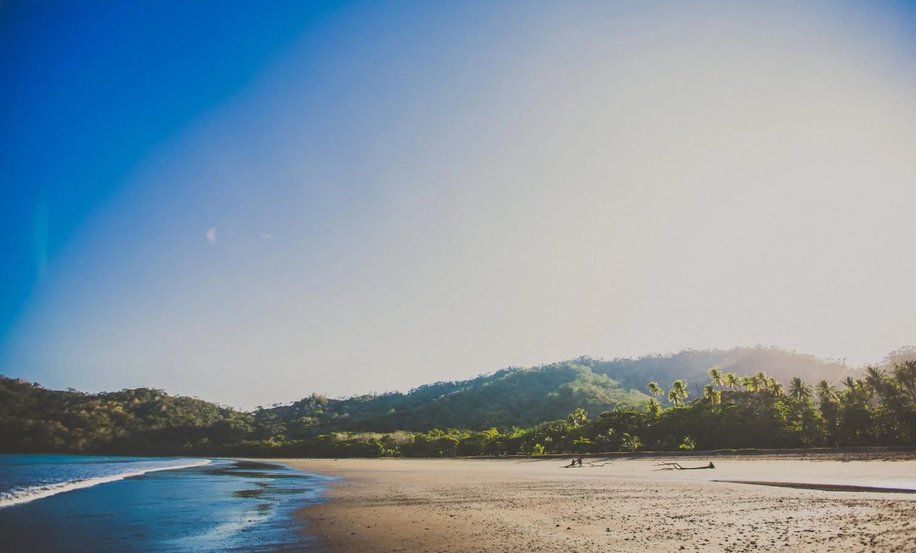 Natural landscape in Tambor Tropical Beach Resort- Adults Only