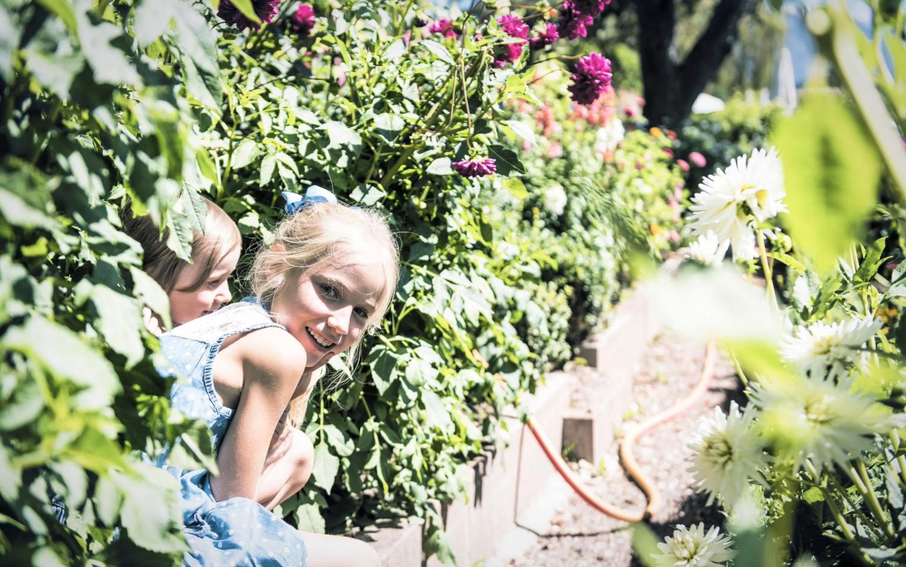 Day in Parkhotel Holzner