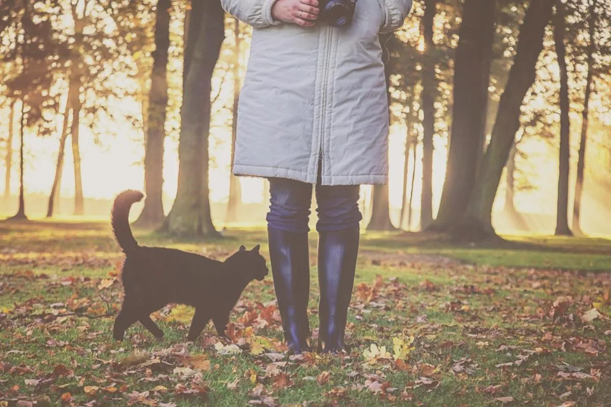 Pets in Pałac Brunów - Wellness & SPA