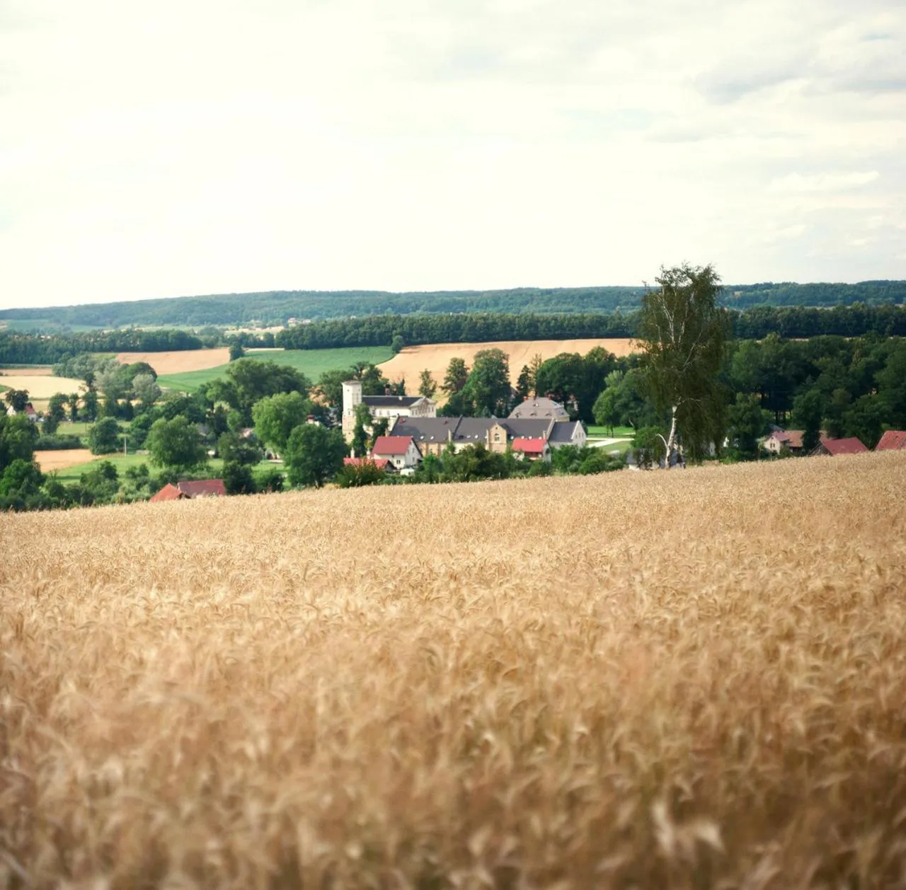Day in Pałac Brunów - Wellness & SPA