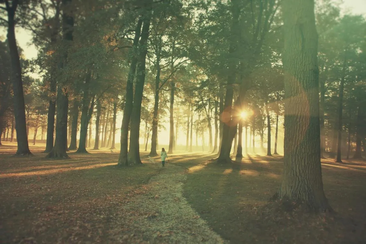 Day in Pałac Brunów - Wellness & SPA