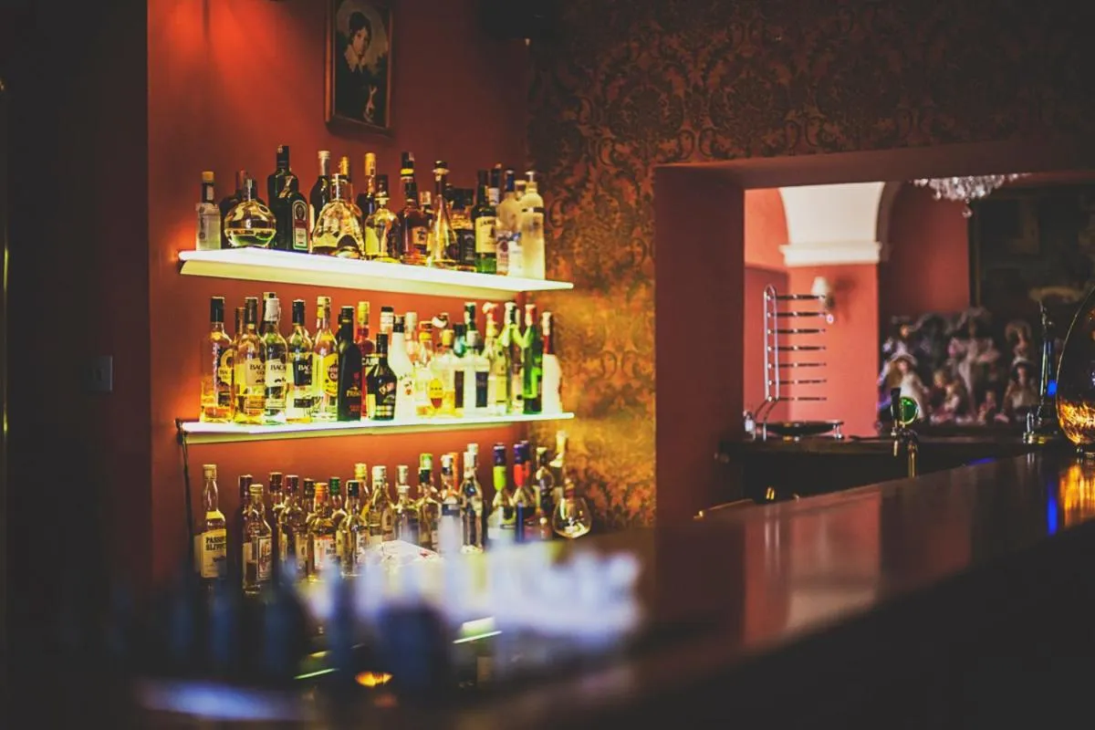 Lounge or bar in Pałac Brunów - Wellness & SPA