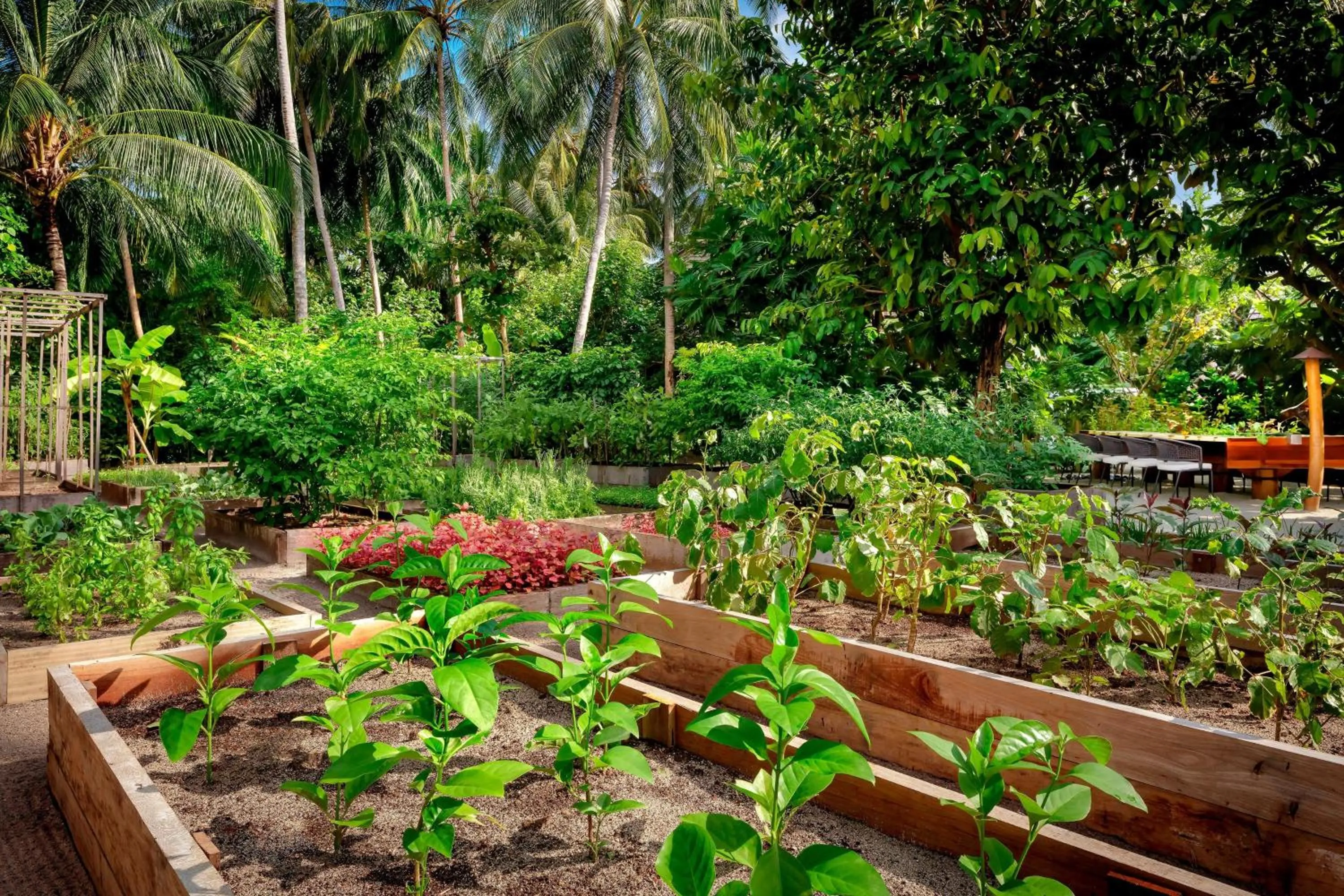 Restaurant/places to eat in The St. Regis Maldives Vommuli Resort