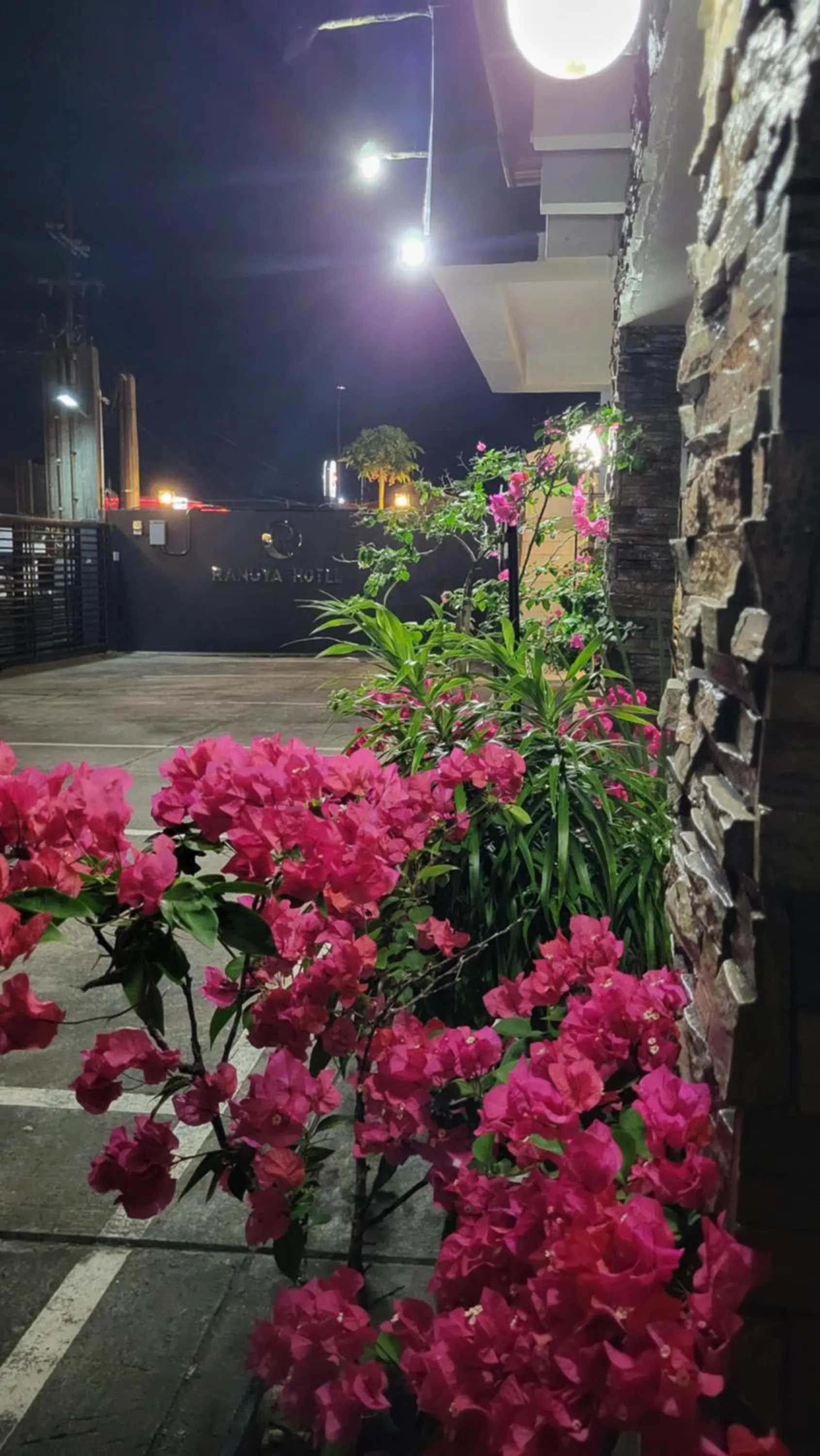 Garden in Rangya Hotel