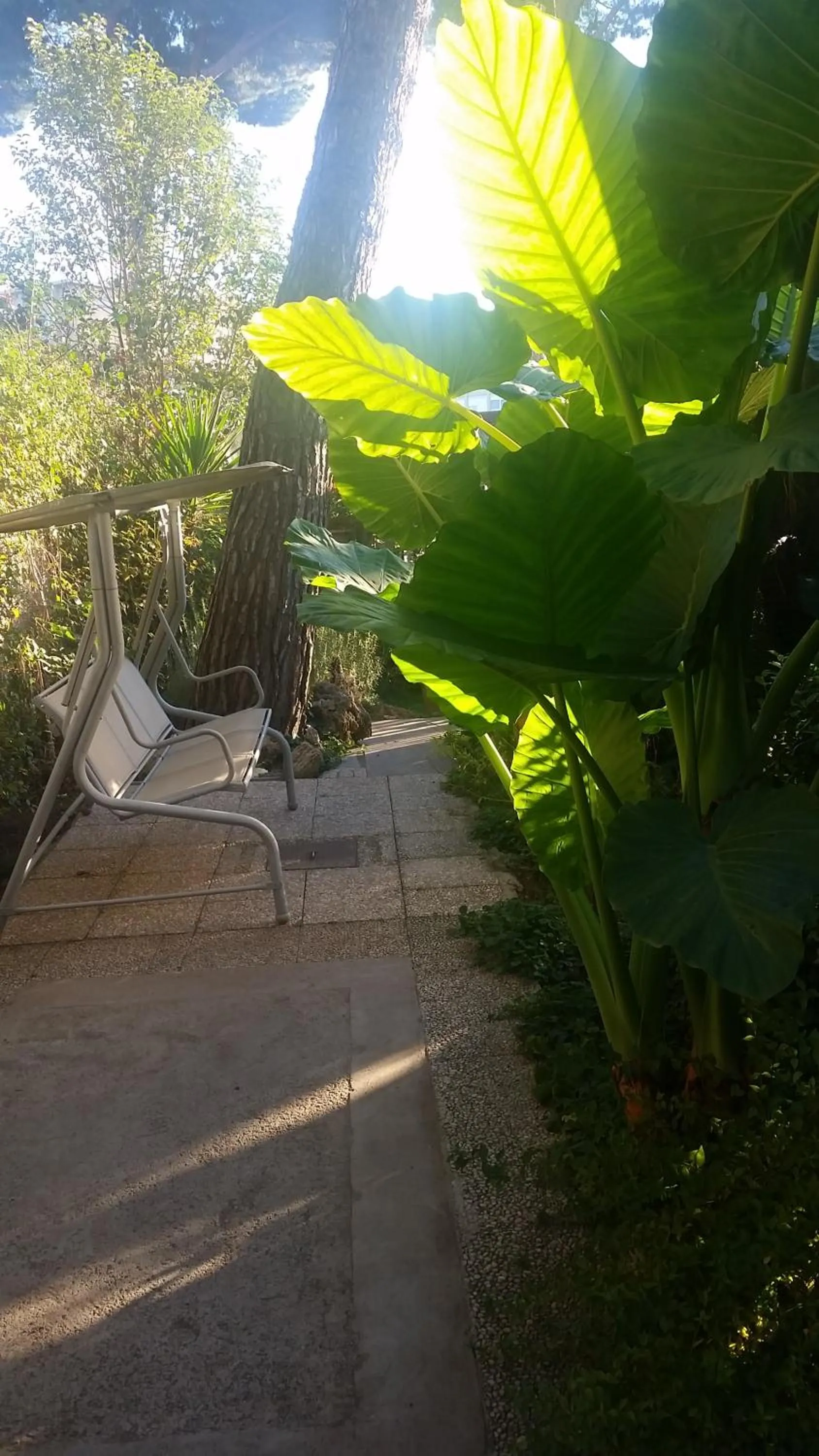 Garden view in Hotel Desiderio