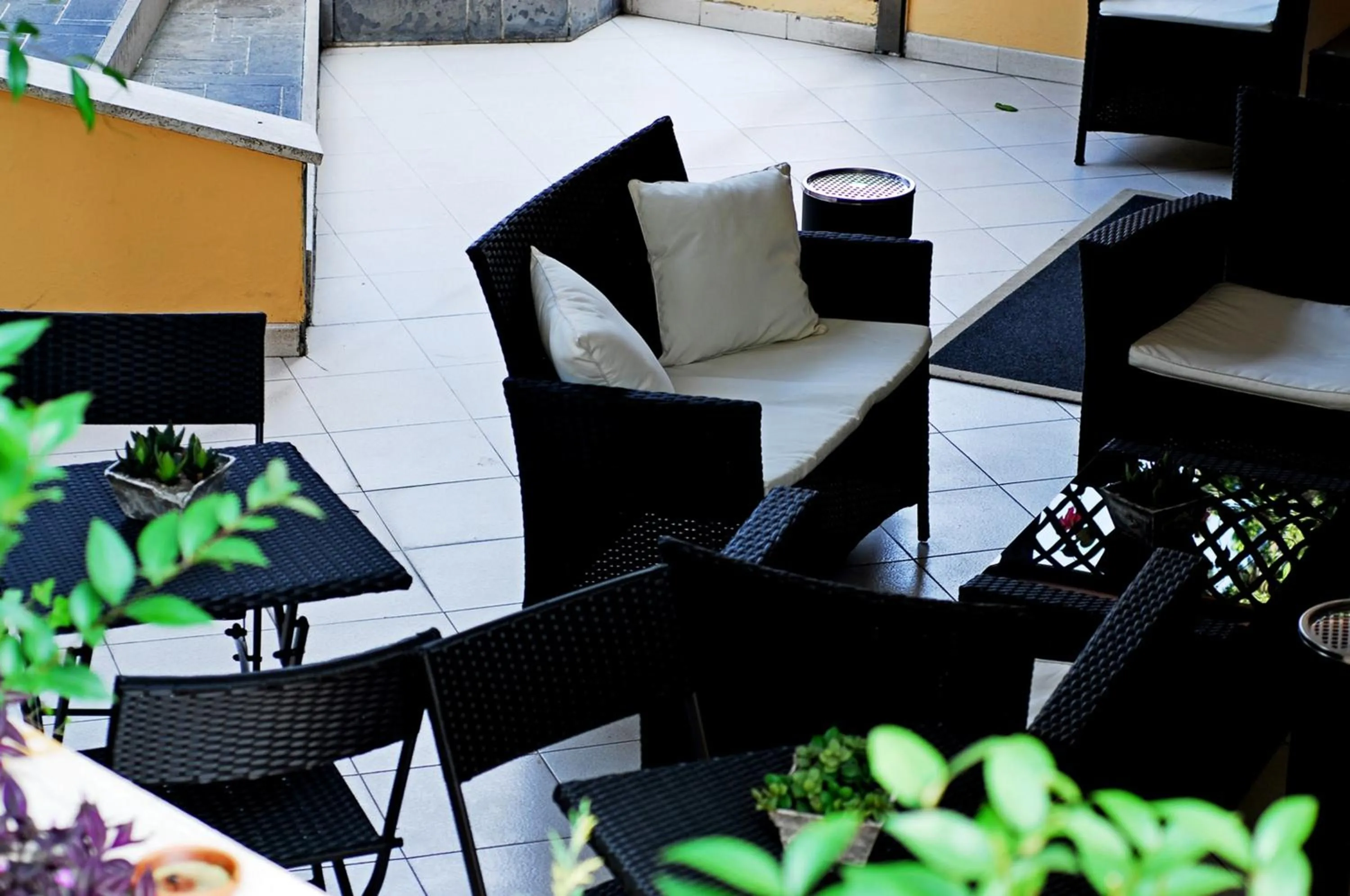 Garden in Hotel Desiderio