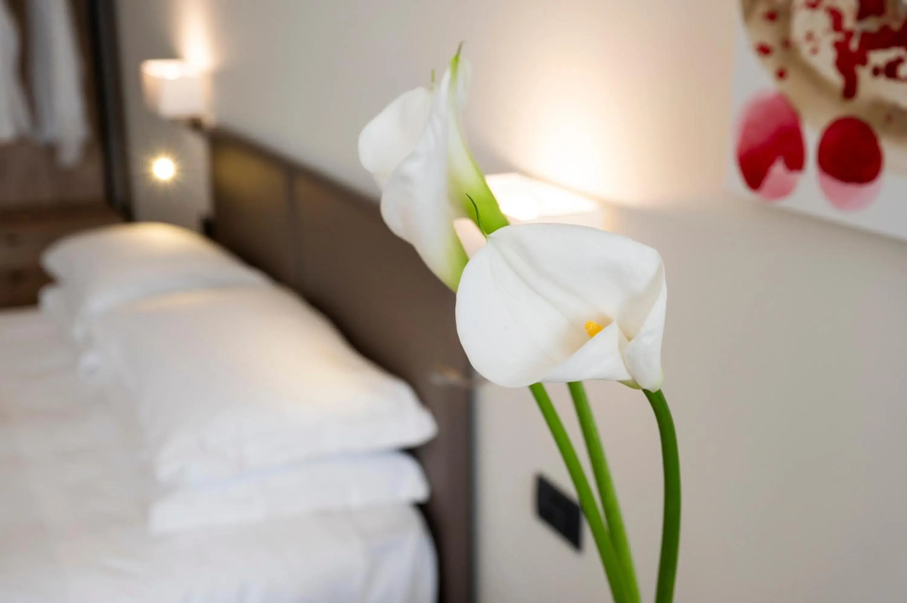 Hotel Plaza Hotel Plaza