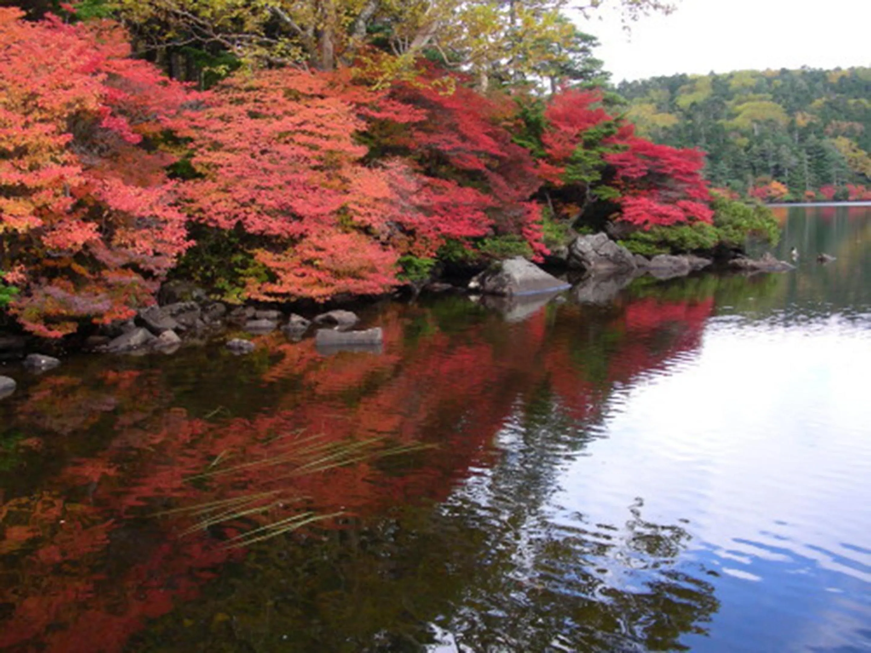 Nearby landmark in Kimimachisou