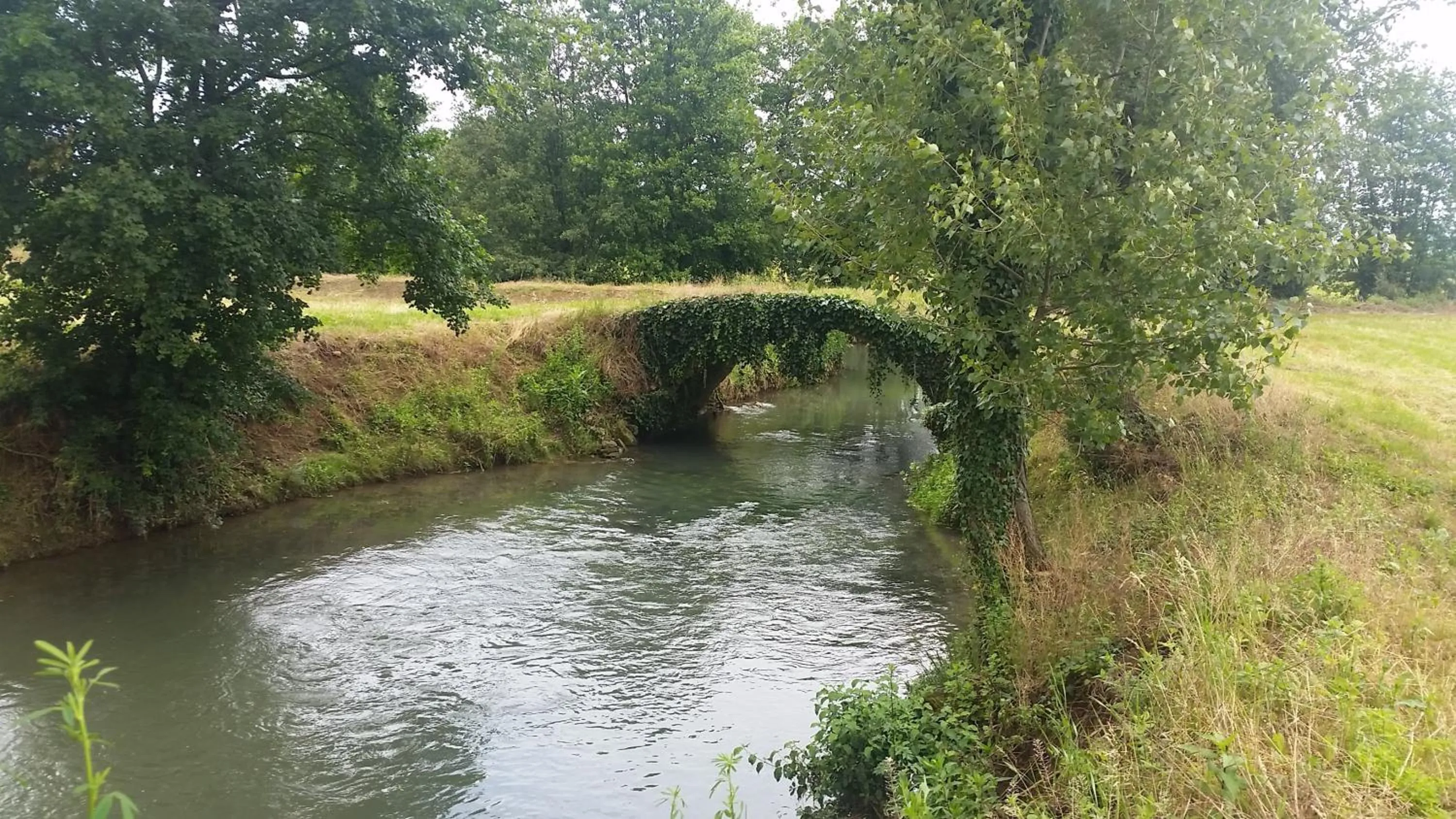 Property building in Locanda Veneta