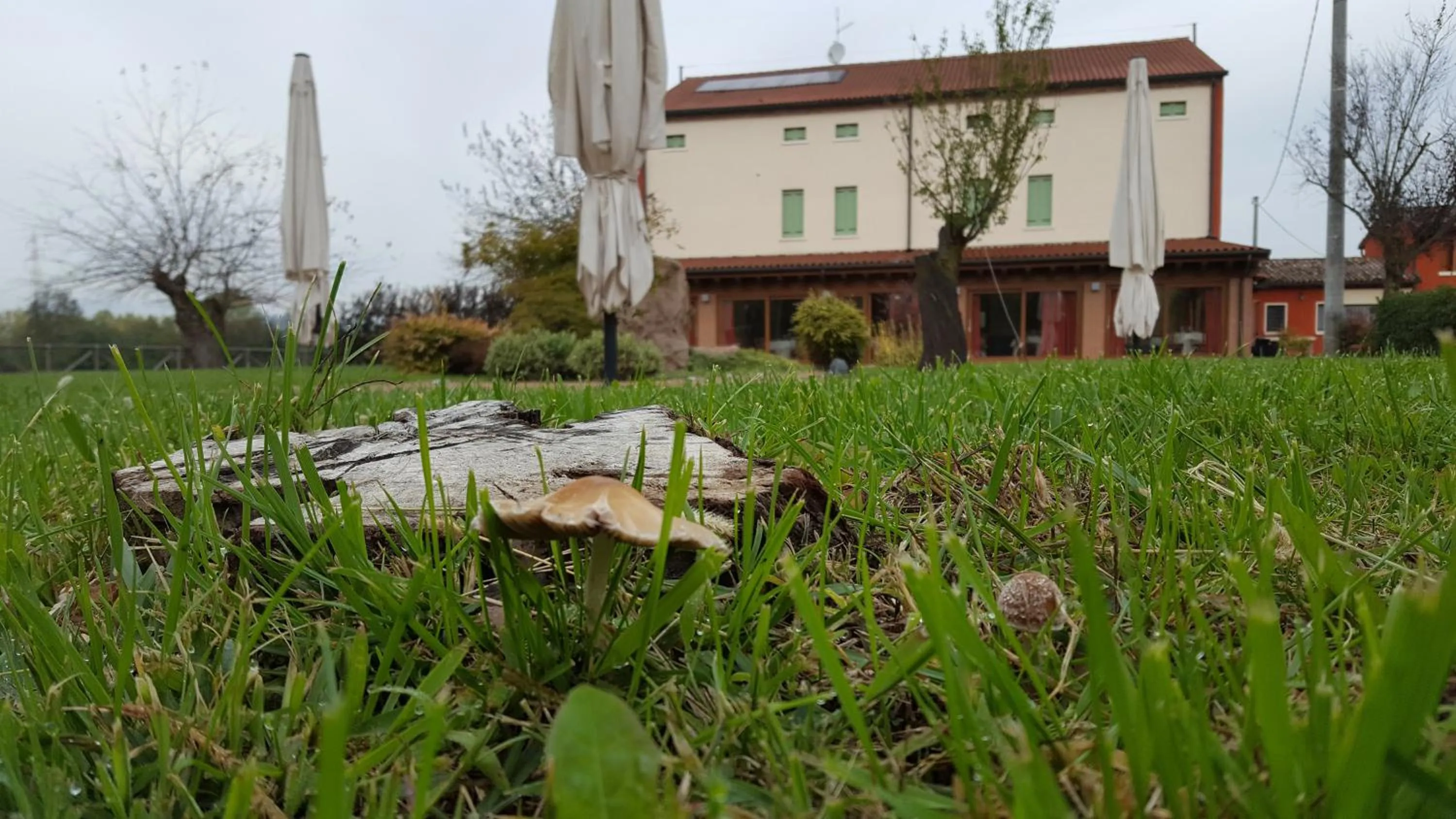 Property building in Locanda Veneta