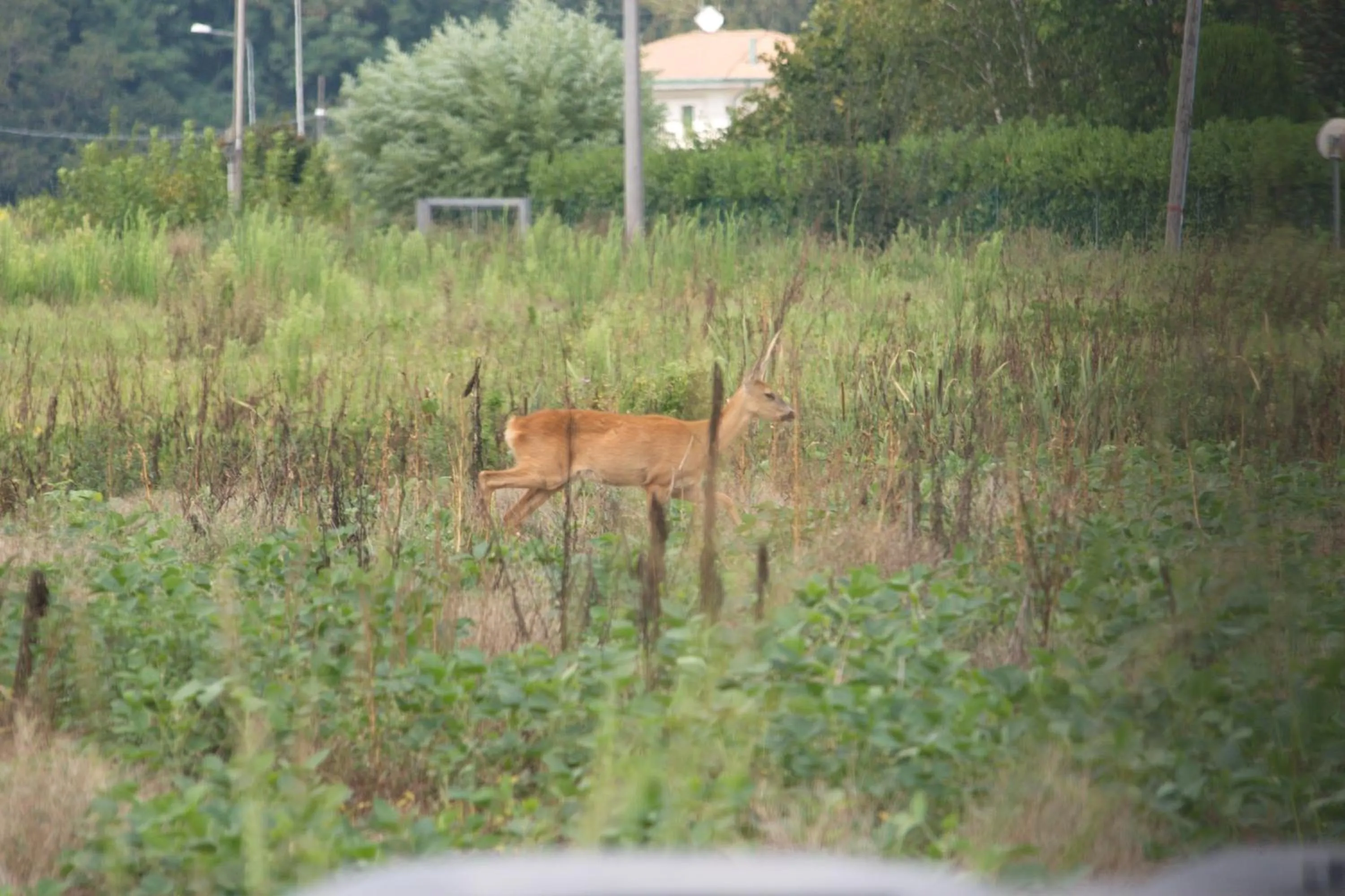 Property building in Locanda Veneta