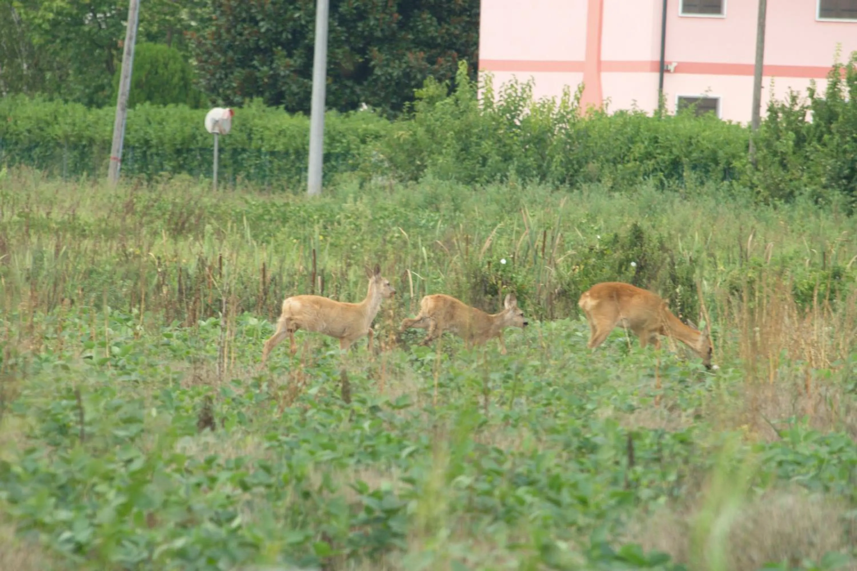 Property building in Locanda Veneta