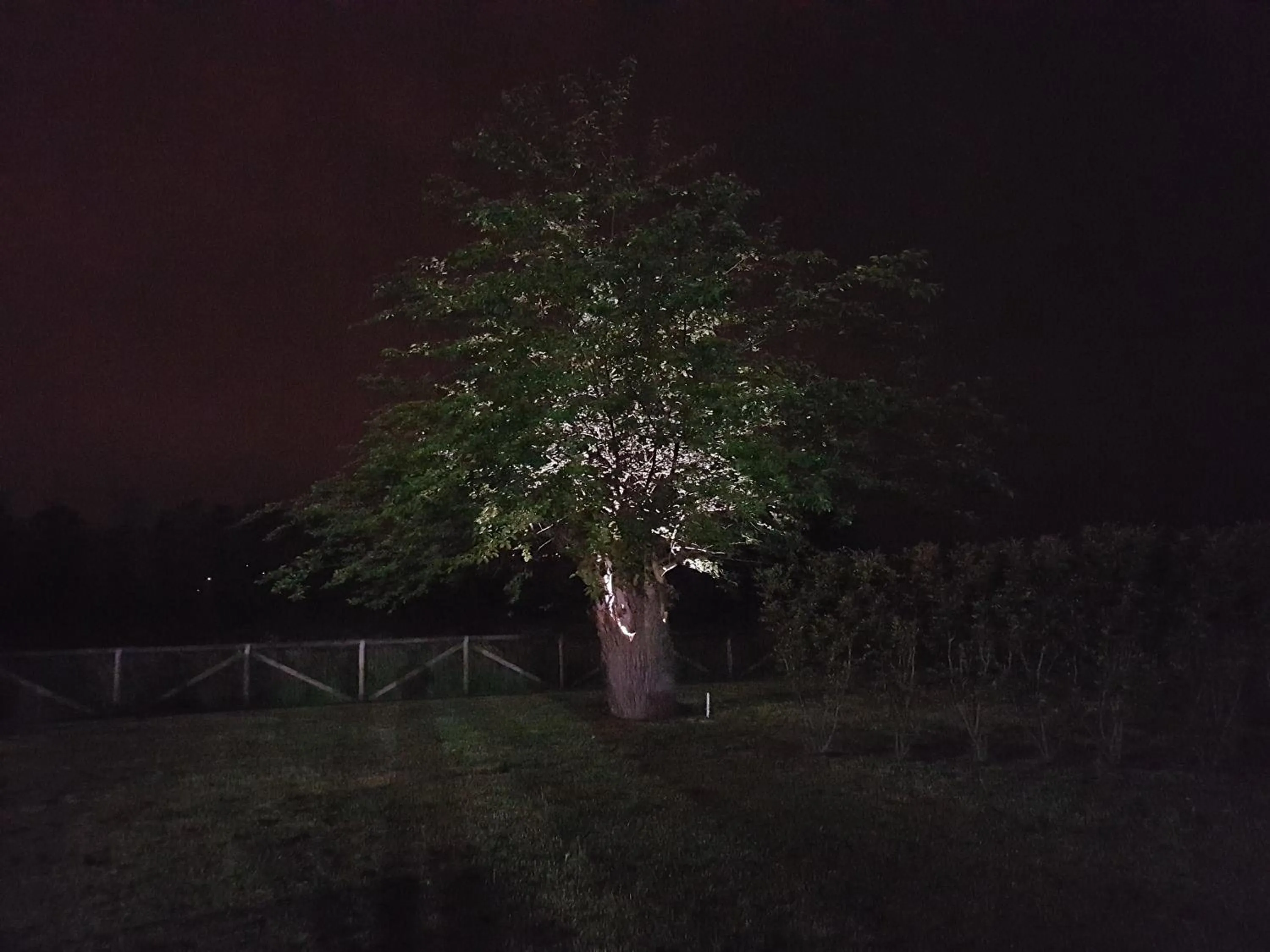 View (from property/room) in Locanda Veneta