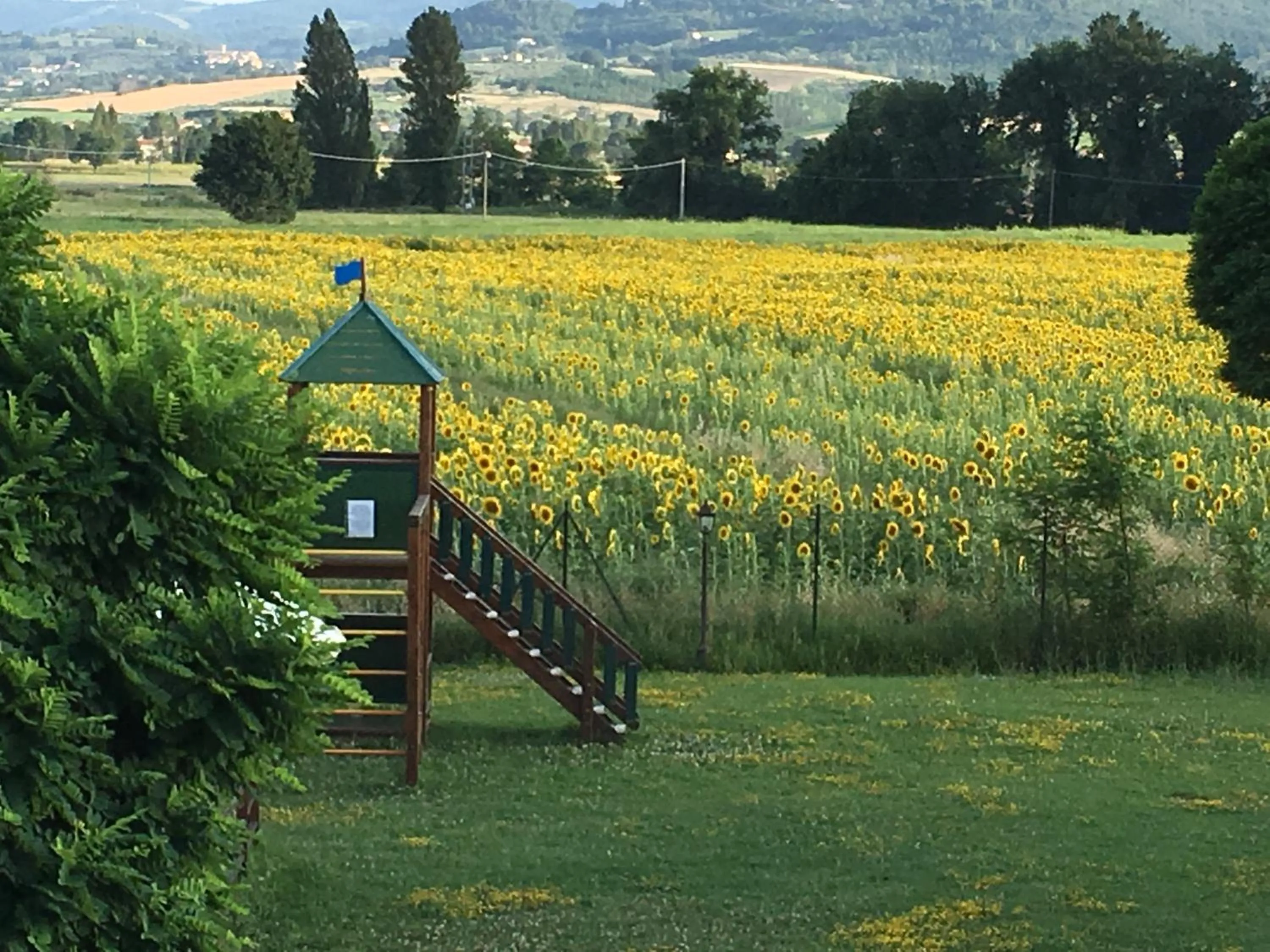 Natural landscape in Agriturismo Le Rondini Di Francesco Di Assisi