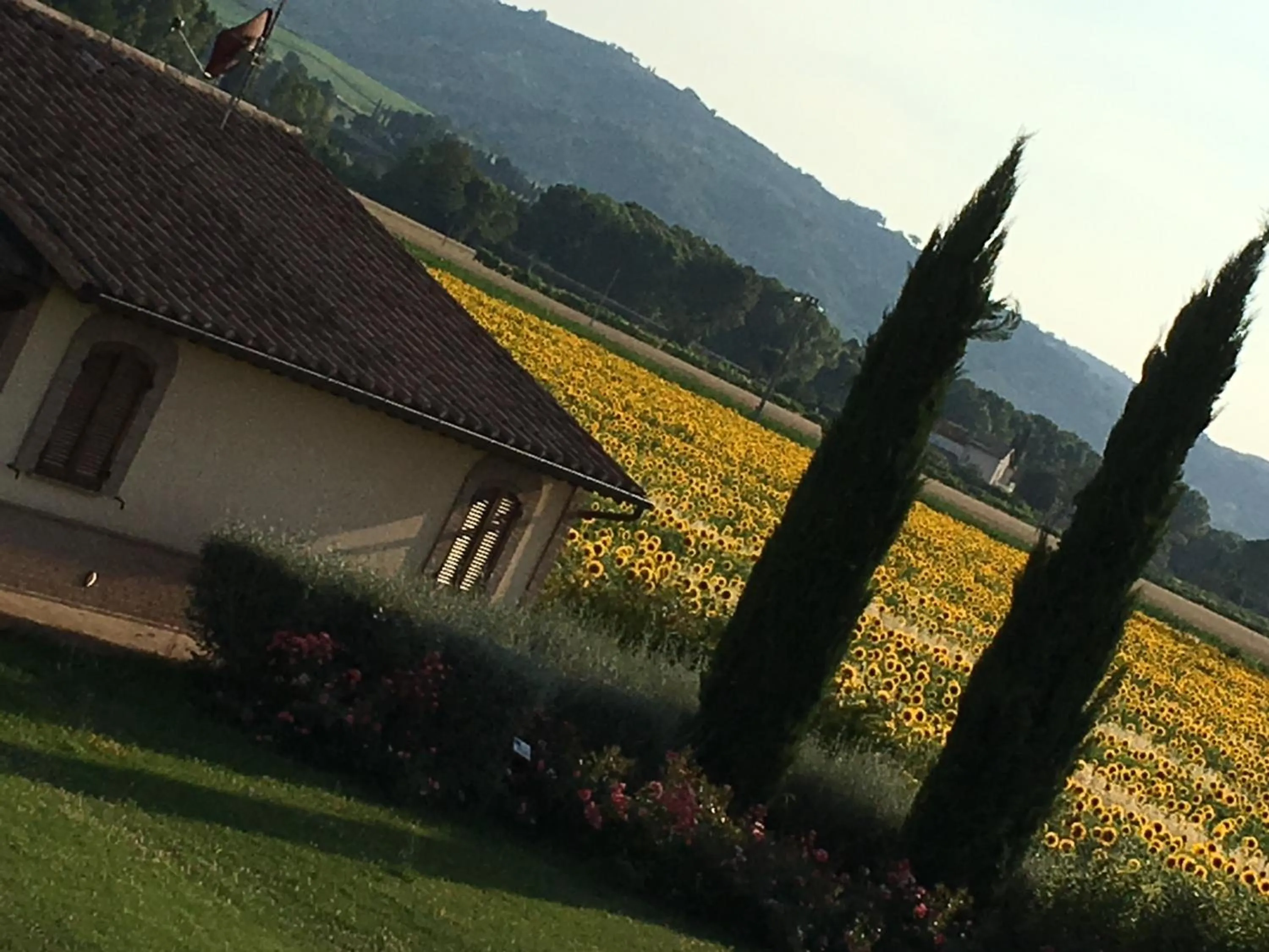 Natural landscape in Agriturismo Le Rondini Di Francesco Di Assisi