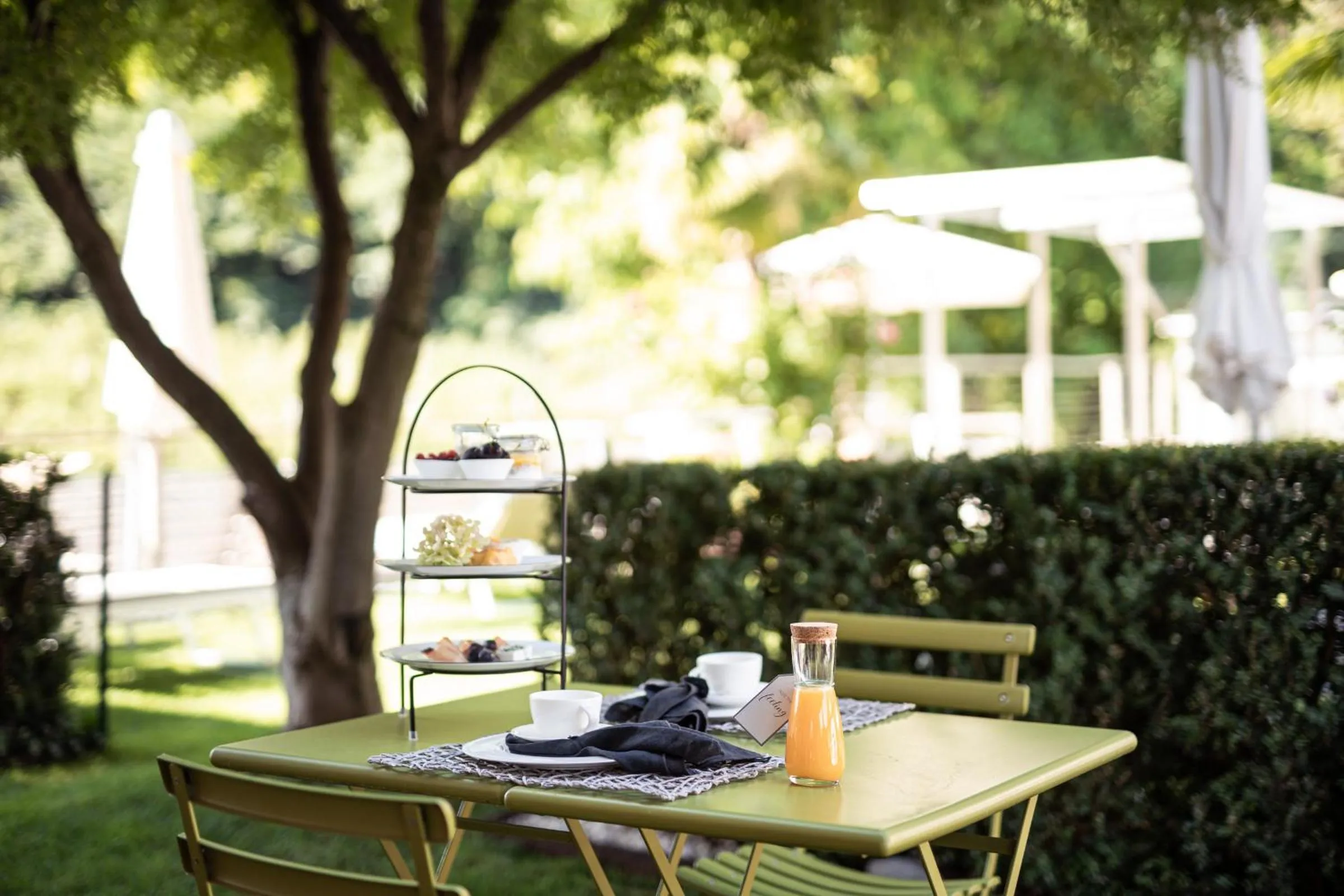 Garden in Boutique Hotel Zum Rosenbaum