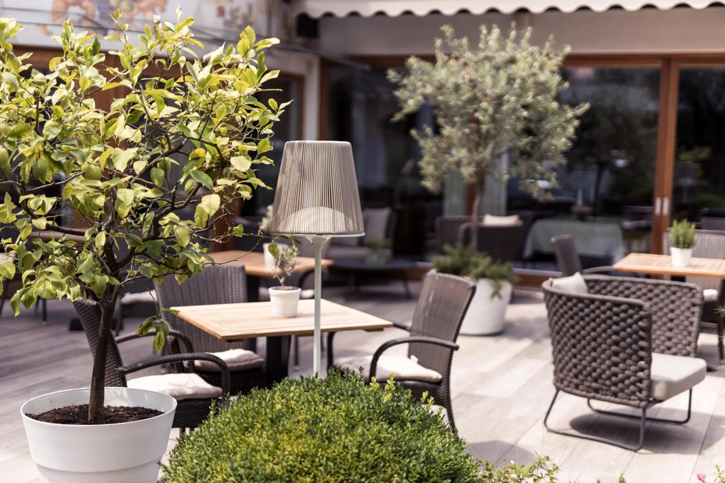 Patio in Boutique Hotel Zum Rosenbaum