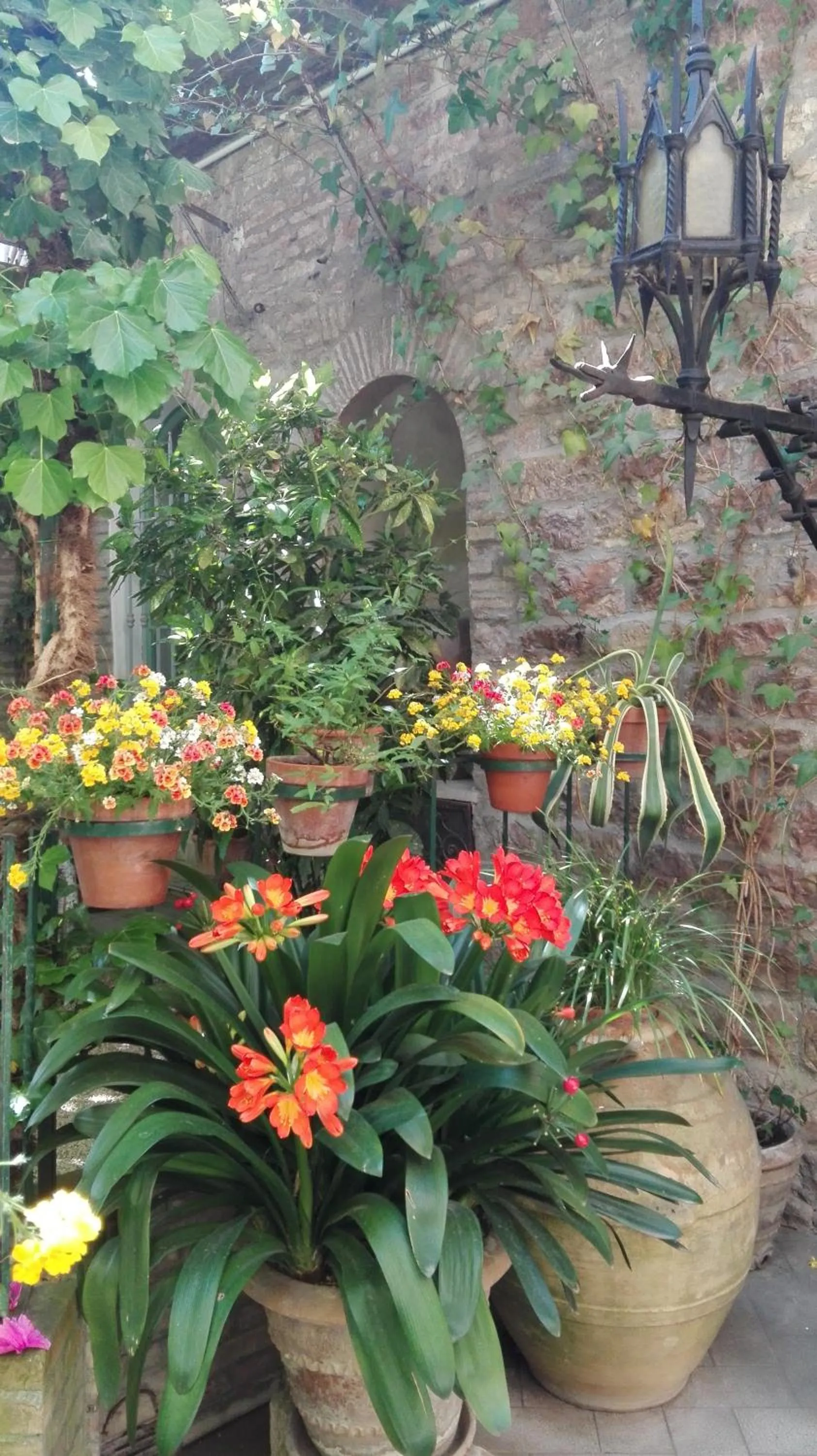 Decorative detail in Hotel Umbra