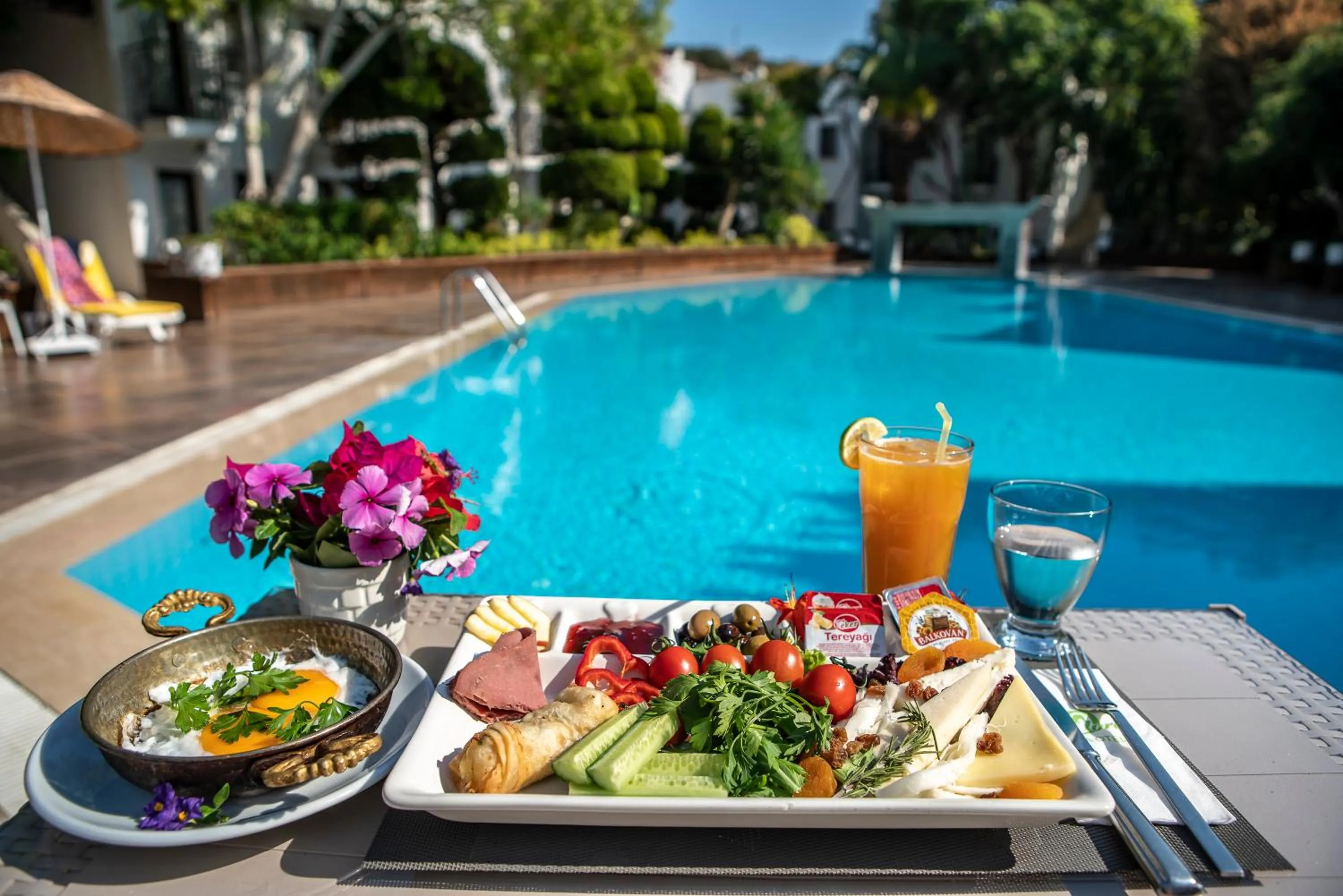 Restaurant/places to eat in Flora Hotel