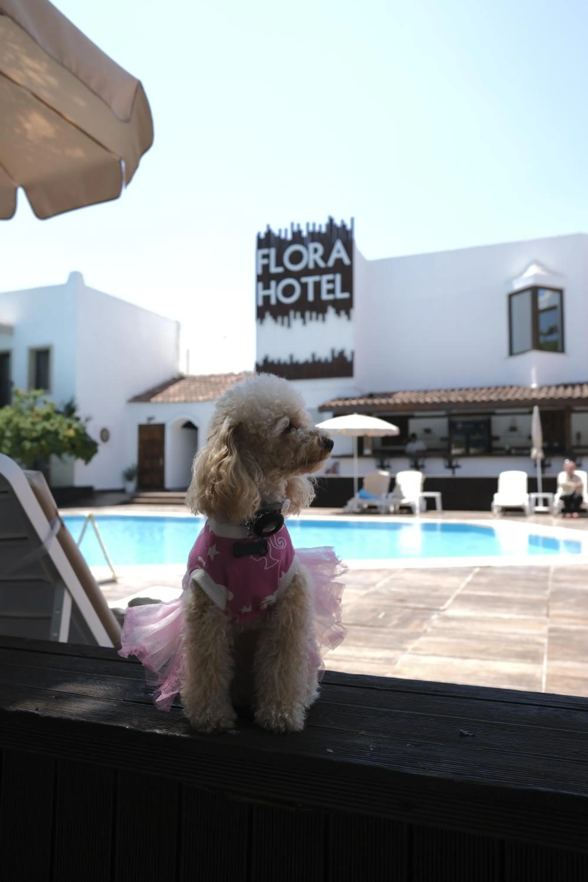 Garden in Flora Hotel